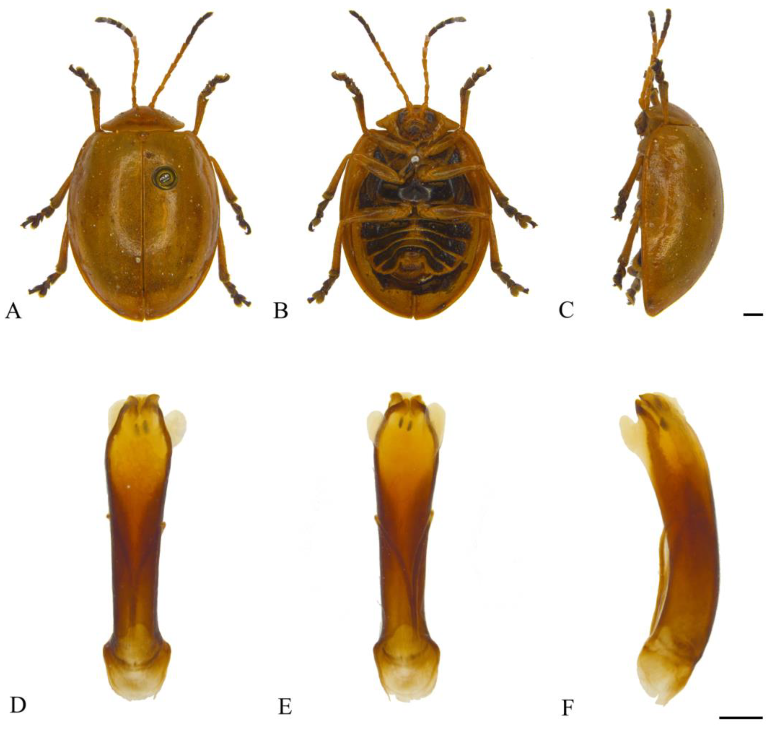 Insects 15 00114 g021
