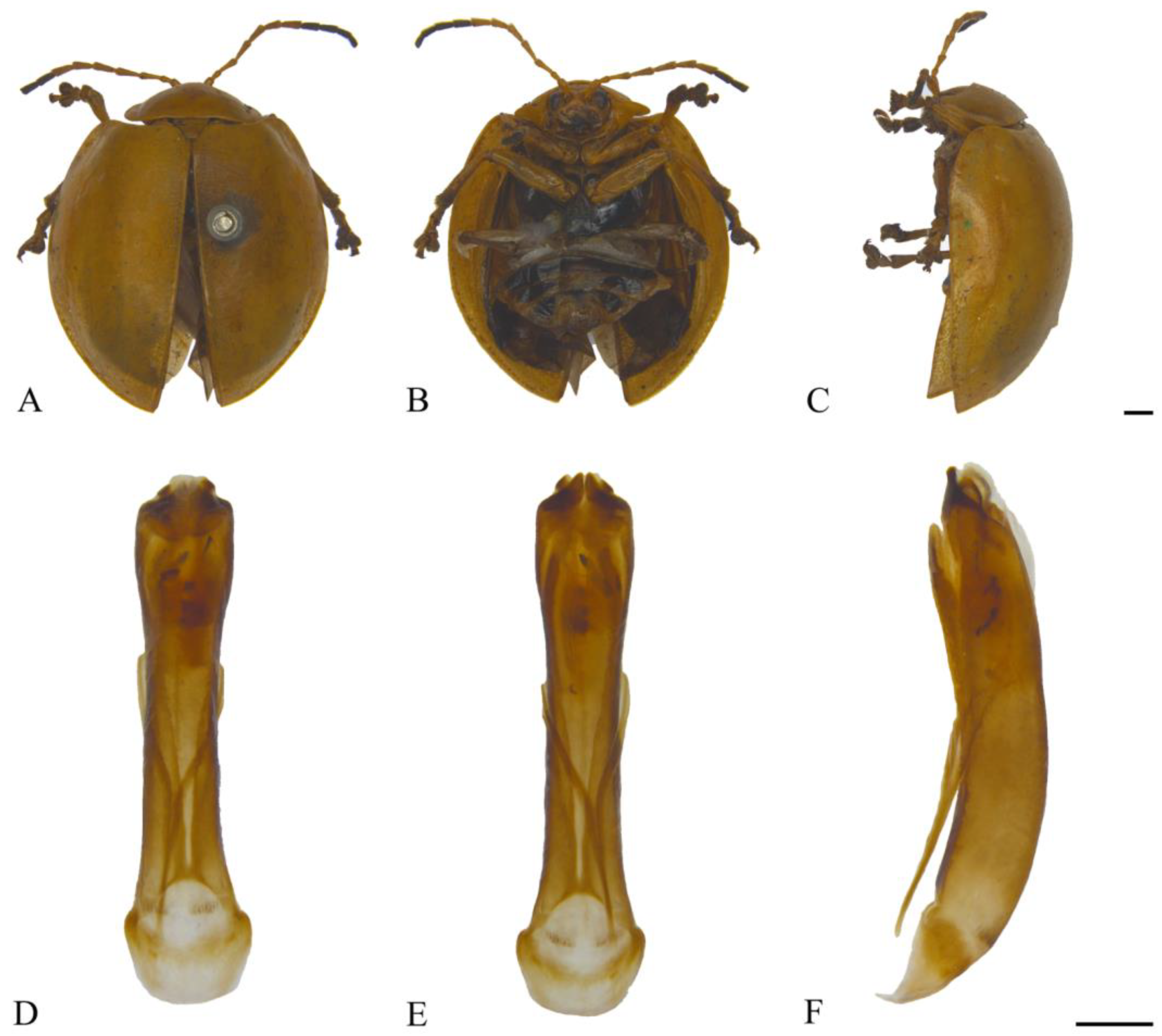 Insects 15 00114 g022