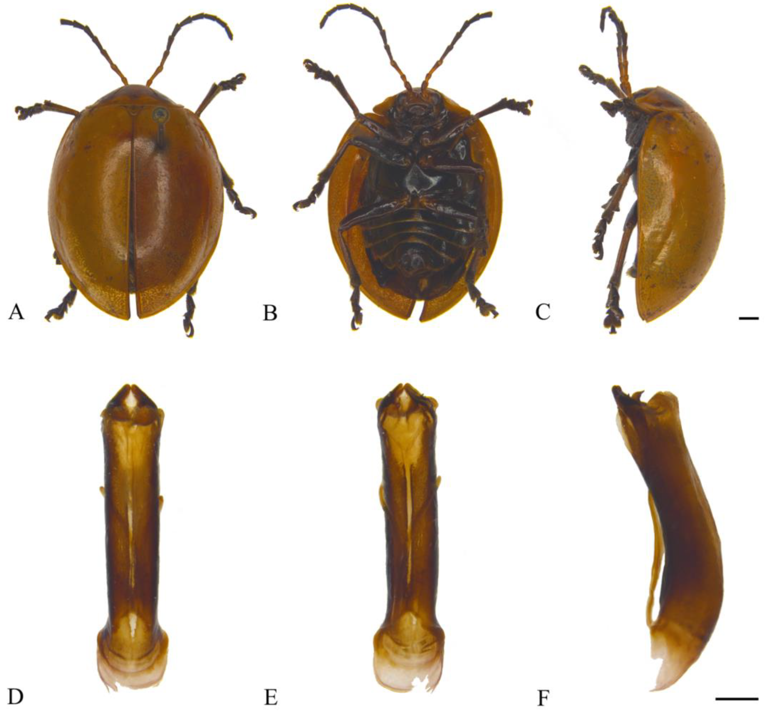 Insects 15 00114 g023