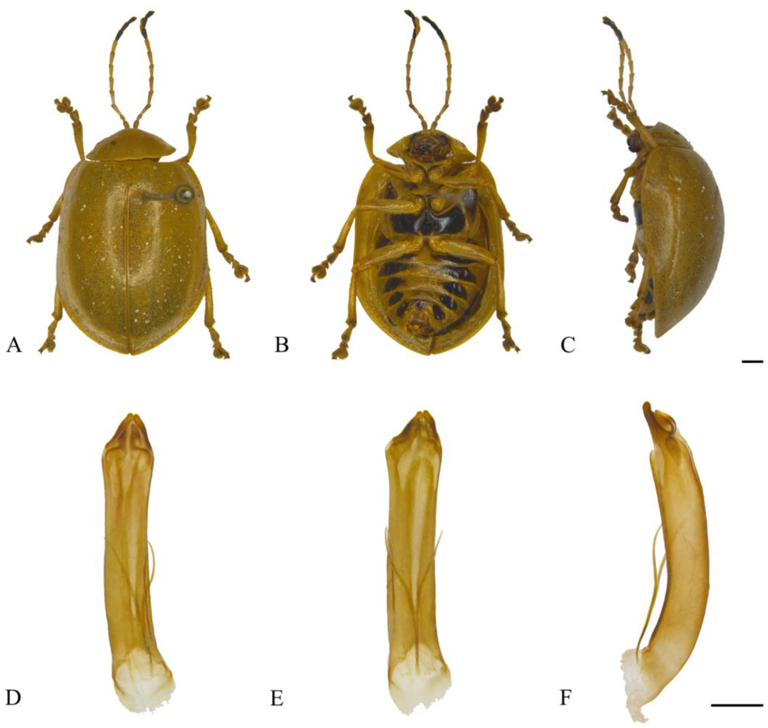 Insects 15 00114 g024