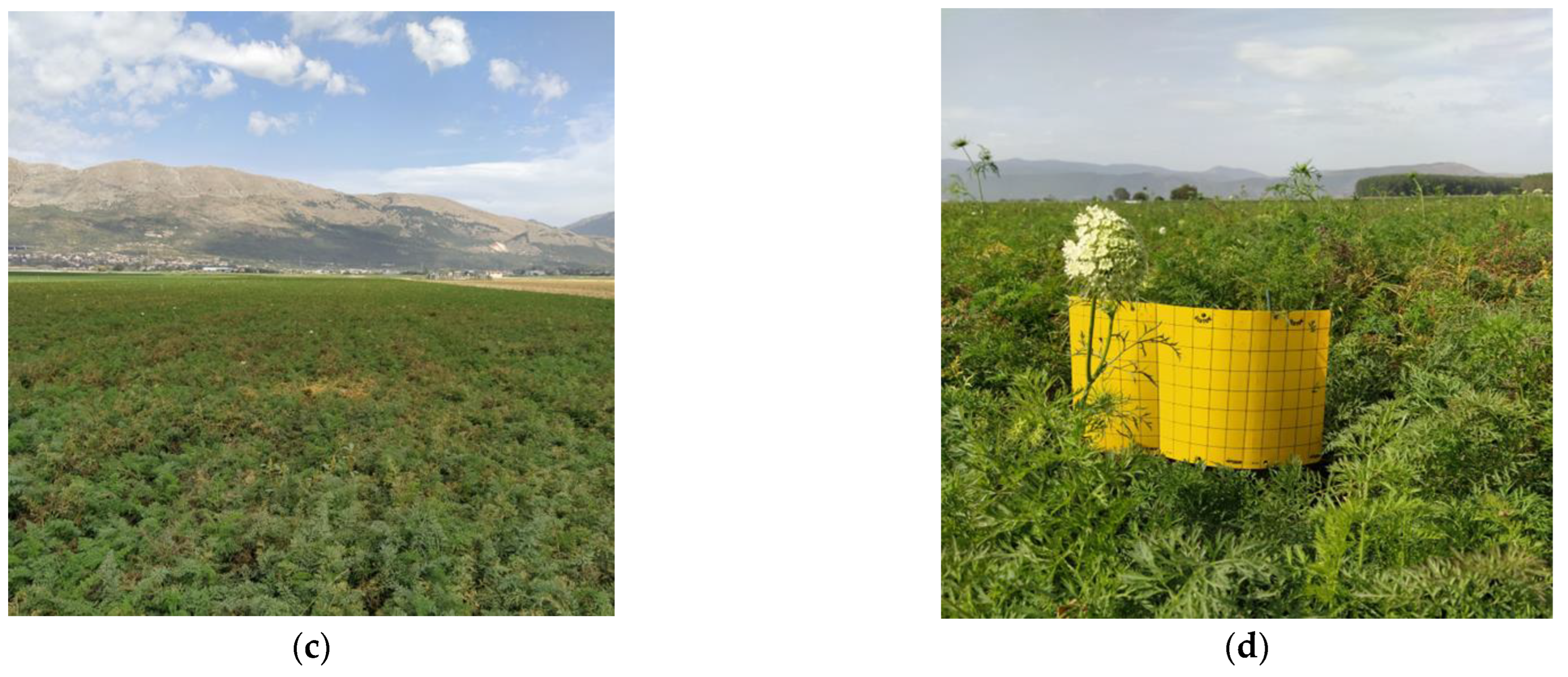 Insects 15 00117 g001b