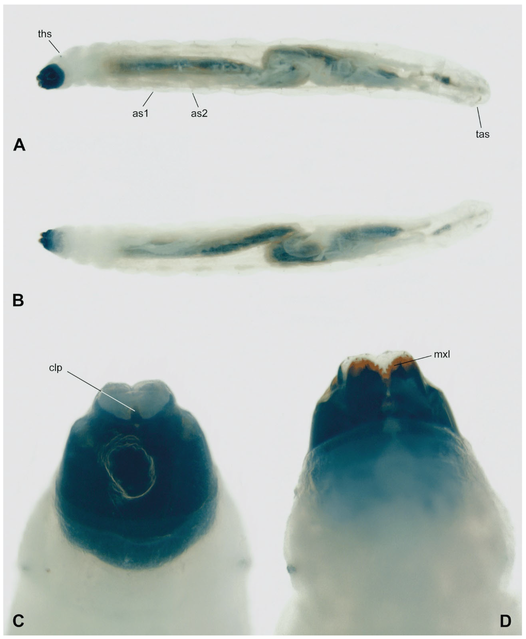 Insects 15 00118 g003 Insects 15 00118 g003