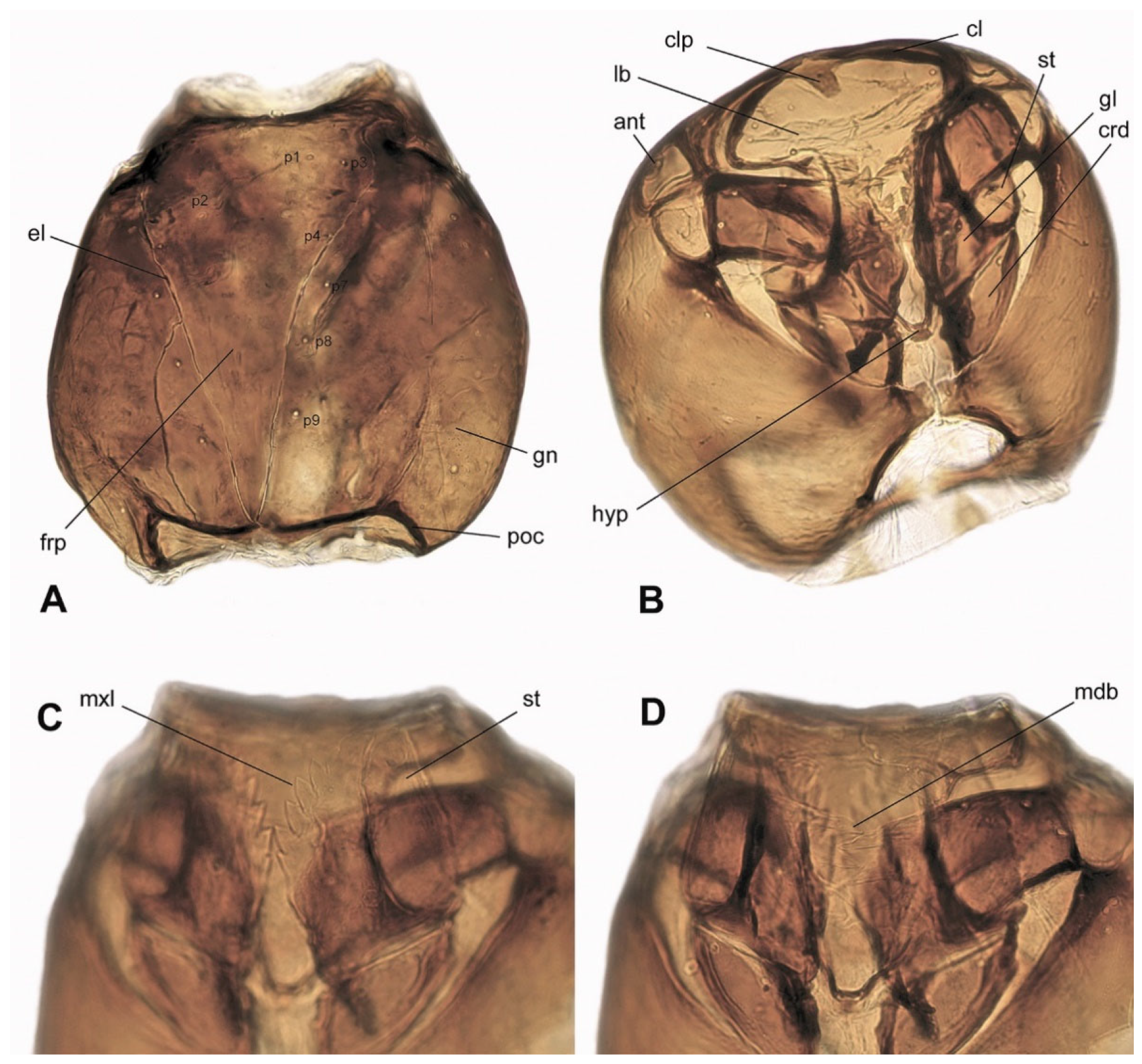 Insects 15 00118 g004 Insects 15 00118 g004