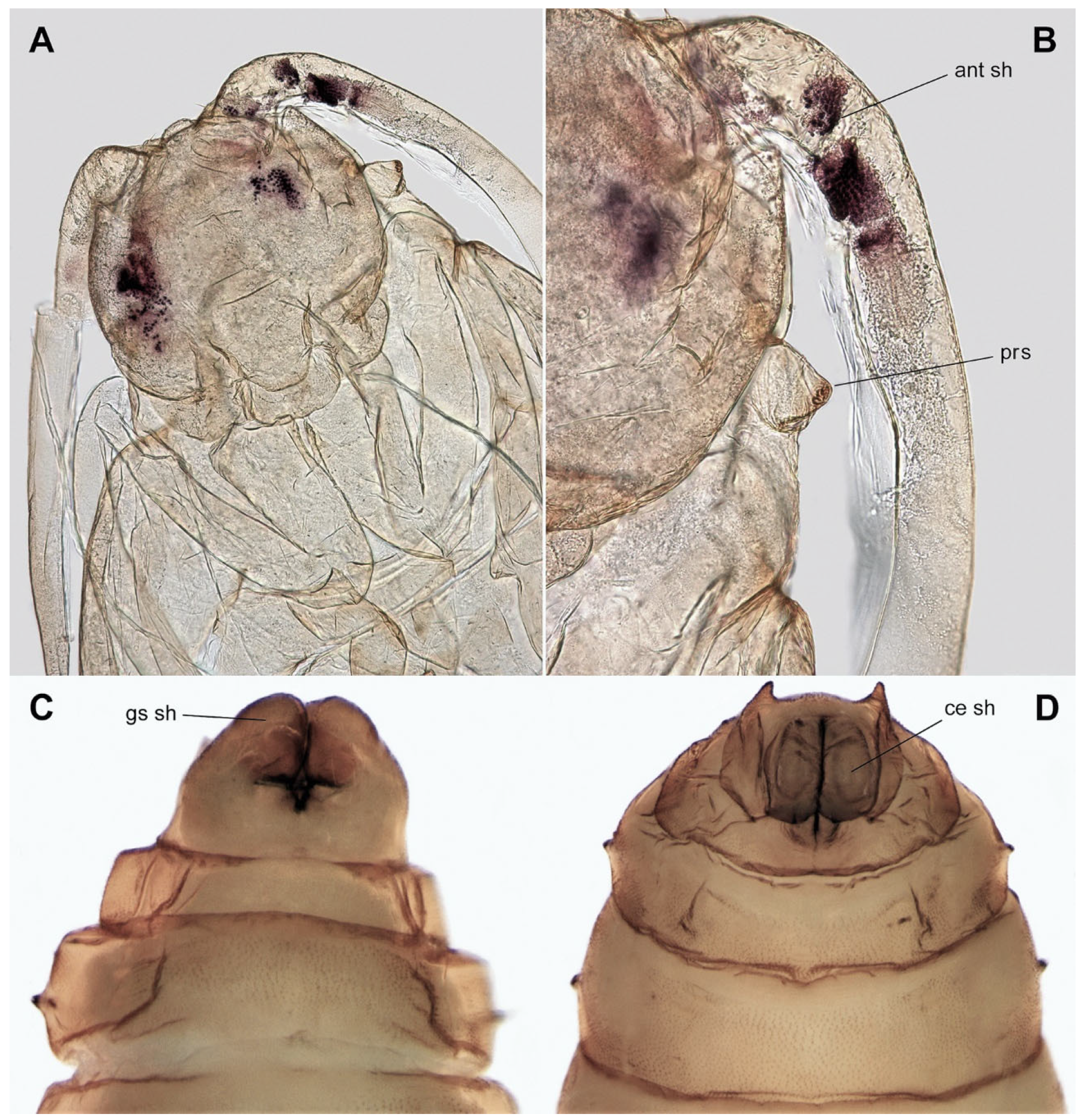 Insects 15 00118 g006 Insects 15 00118 g006