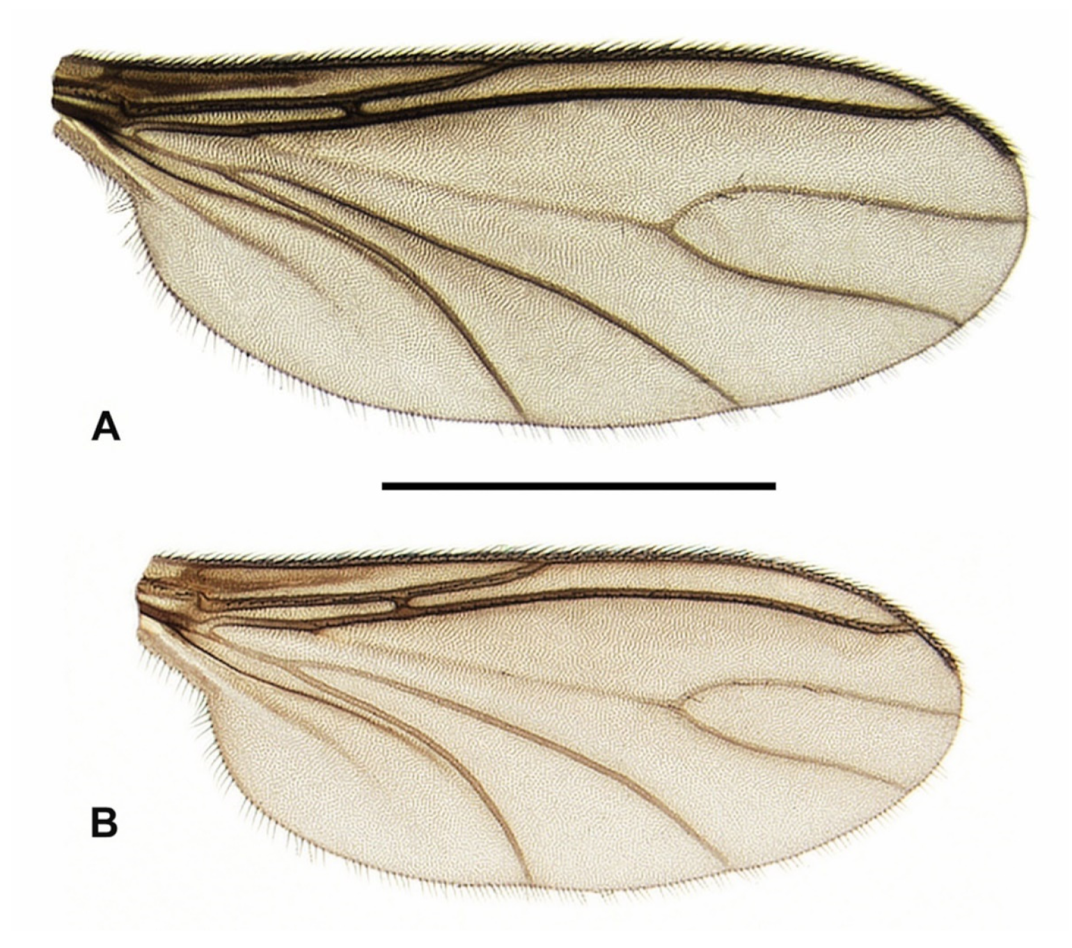 Insects 15 00118 g007 Insects 15 00118 g007