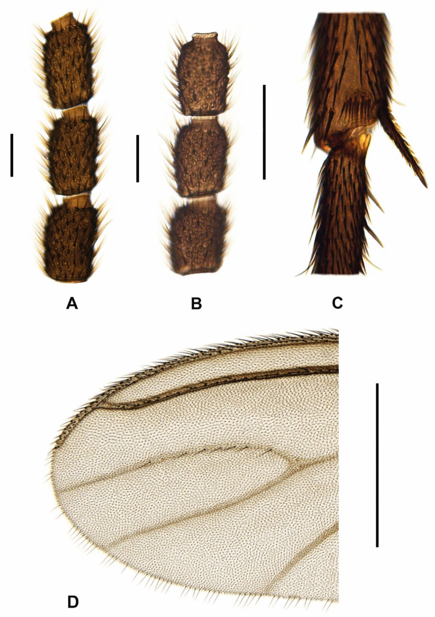 Insects 15 00118 g008 Insects 15 00118 g008