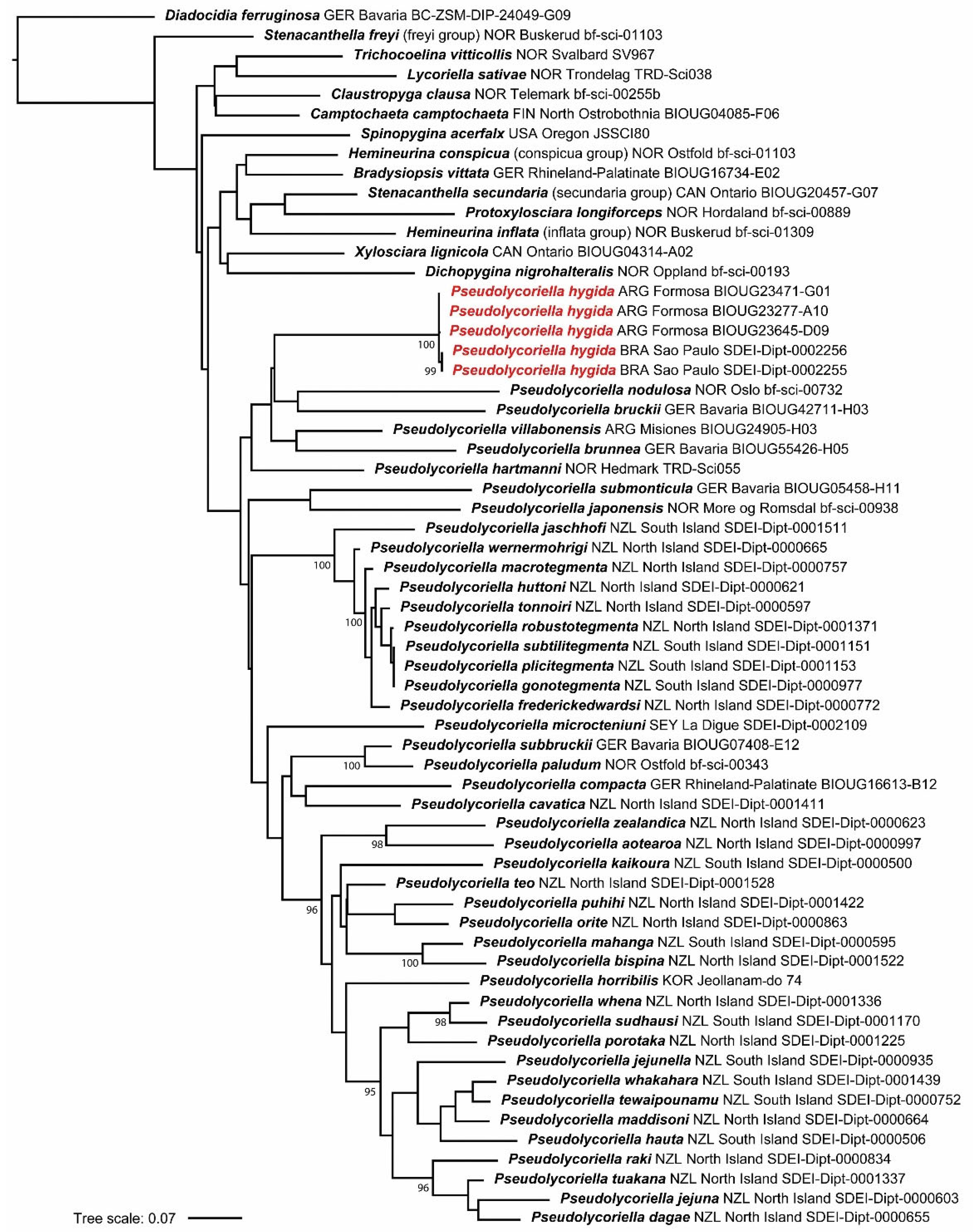 Insects 15 00118 g010 Insects 15 00118 g010
