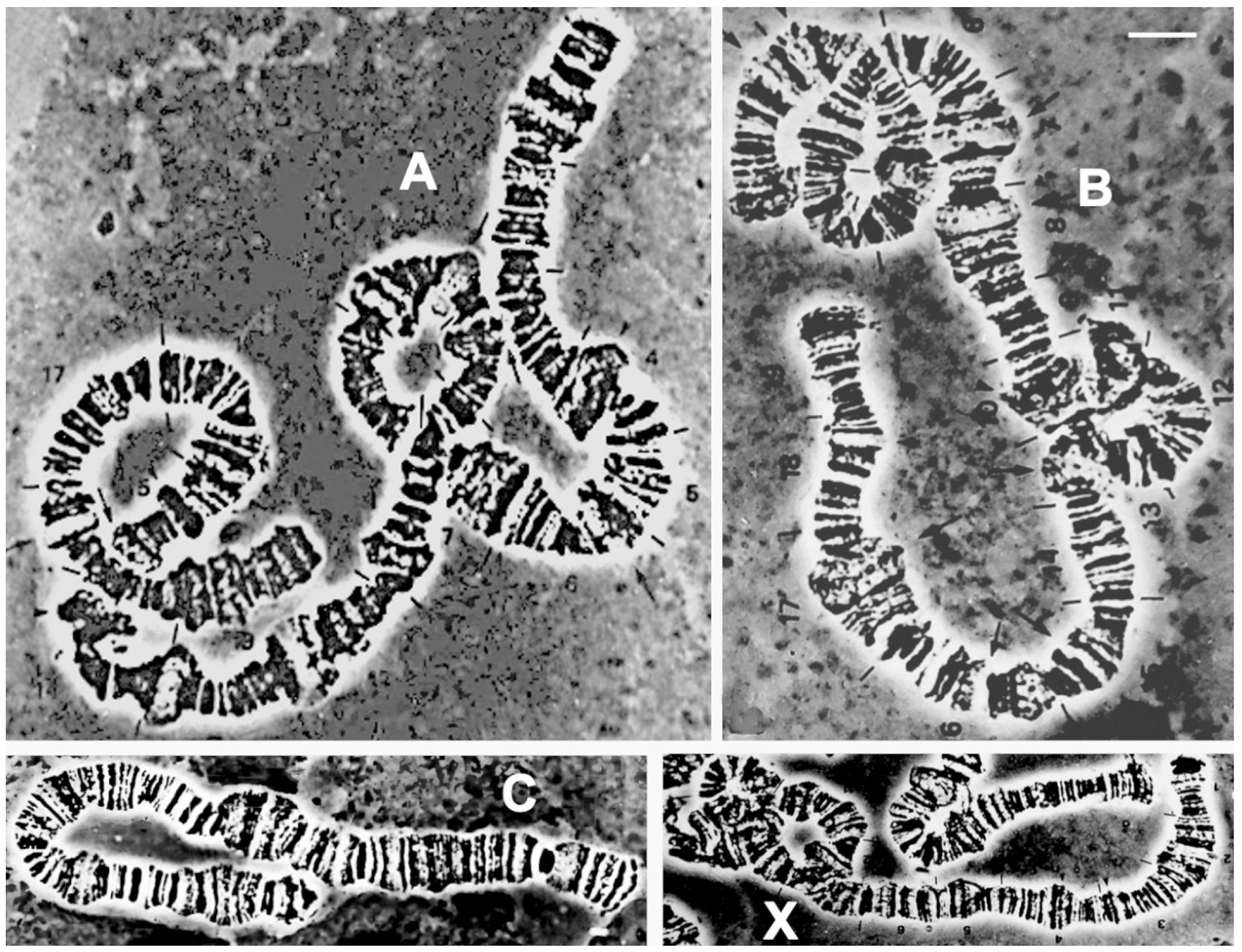 Insects 15 00118 g011 Insects 15 00118 g011
