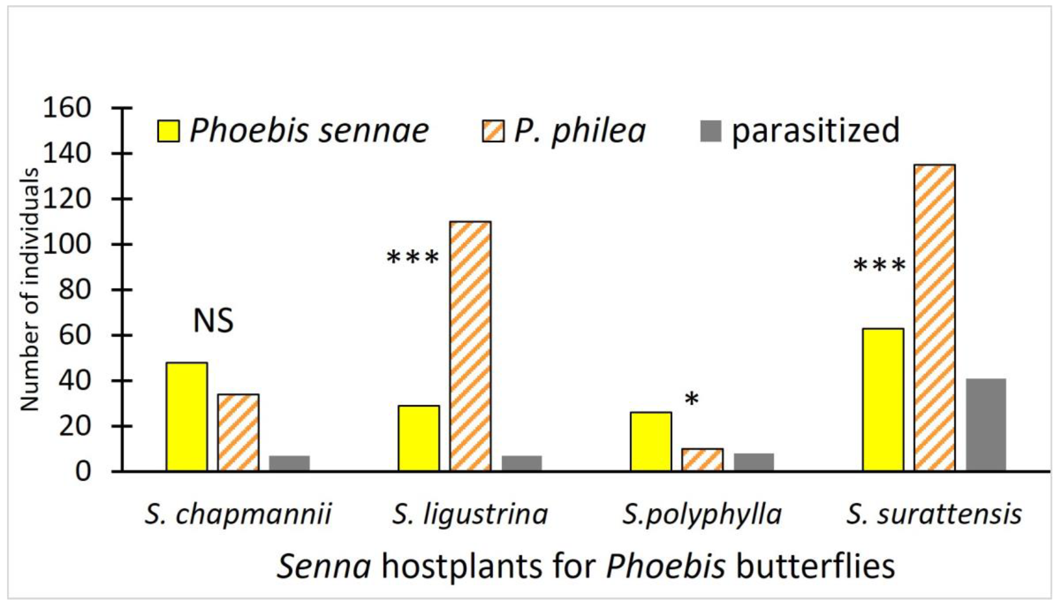 Insects 15 00123 g002