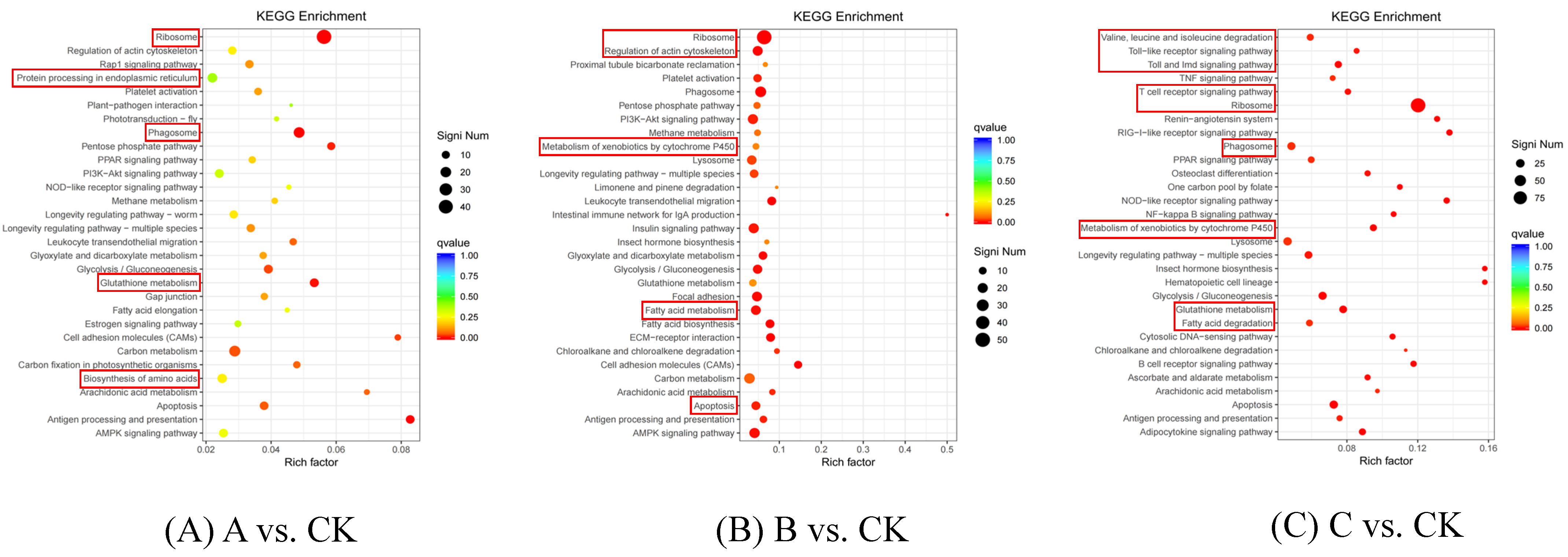 Insects 15 00126 g003 Insects 15 00126 g003