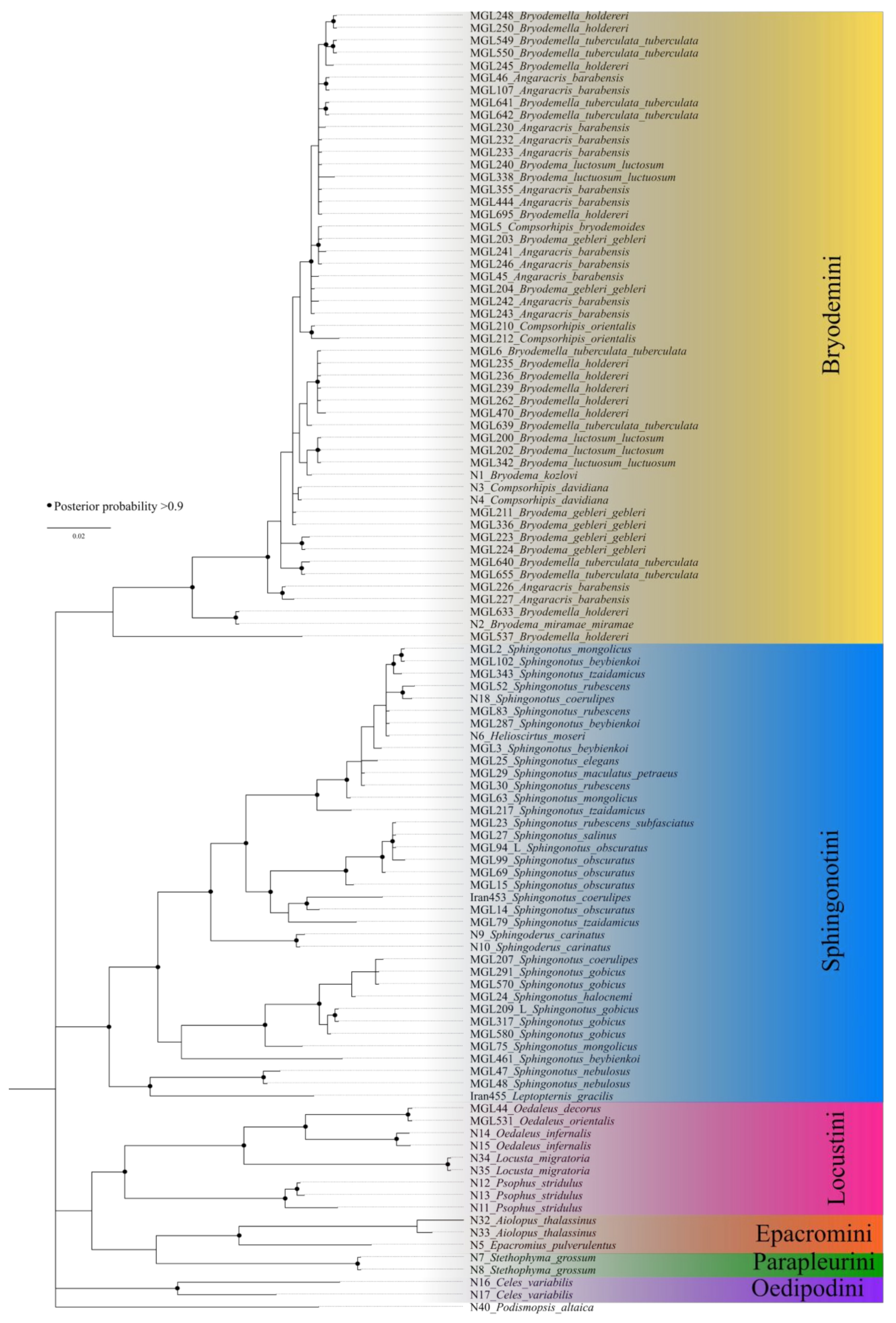 Insects 15 00128 g002
