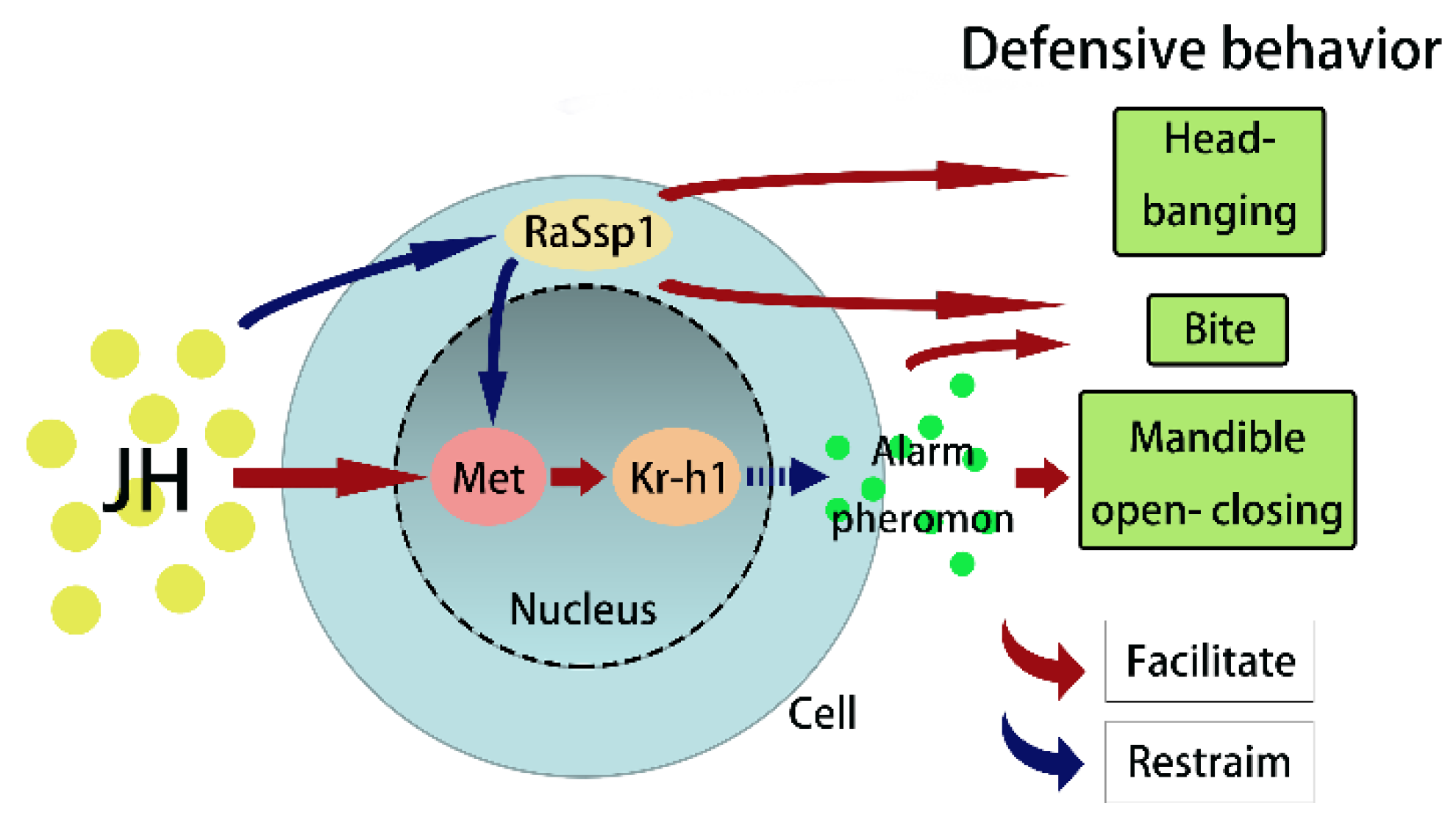 Insects 15 00130 g007