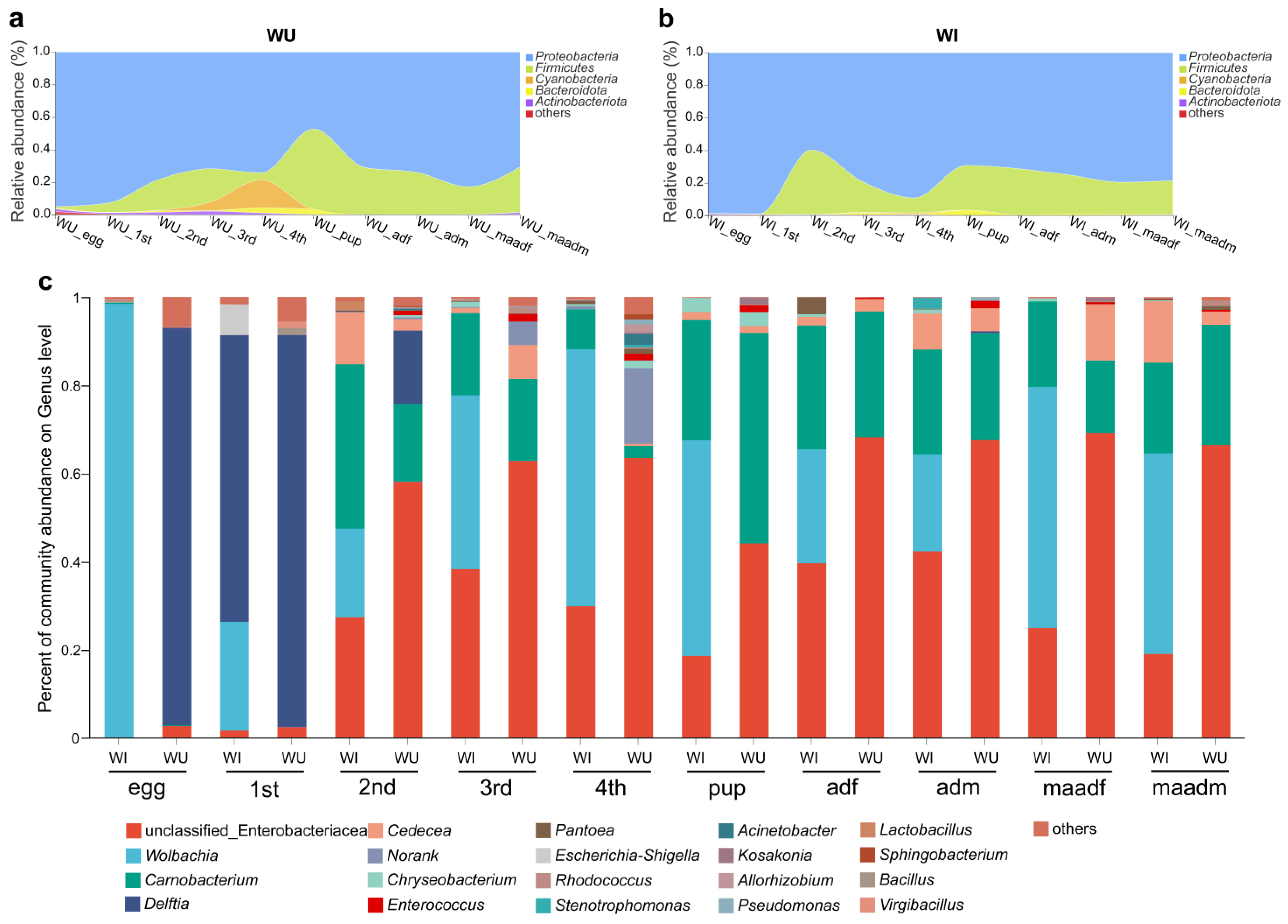 Insects 15 00132 g001