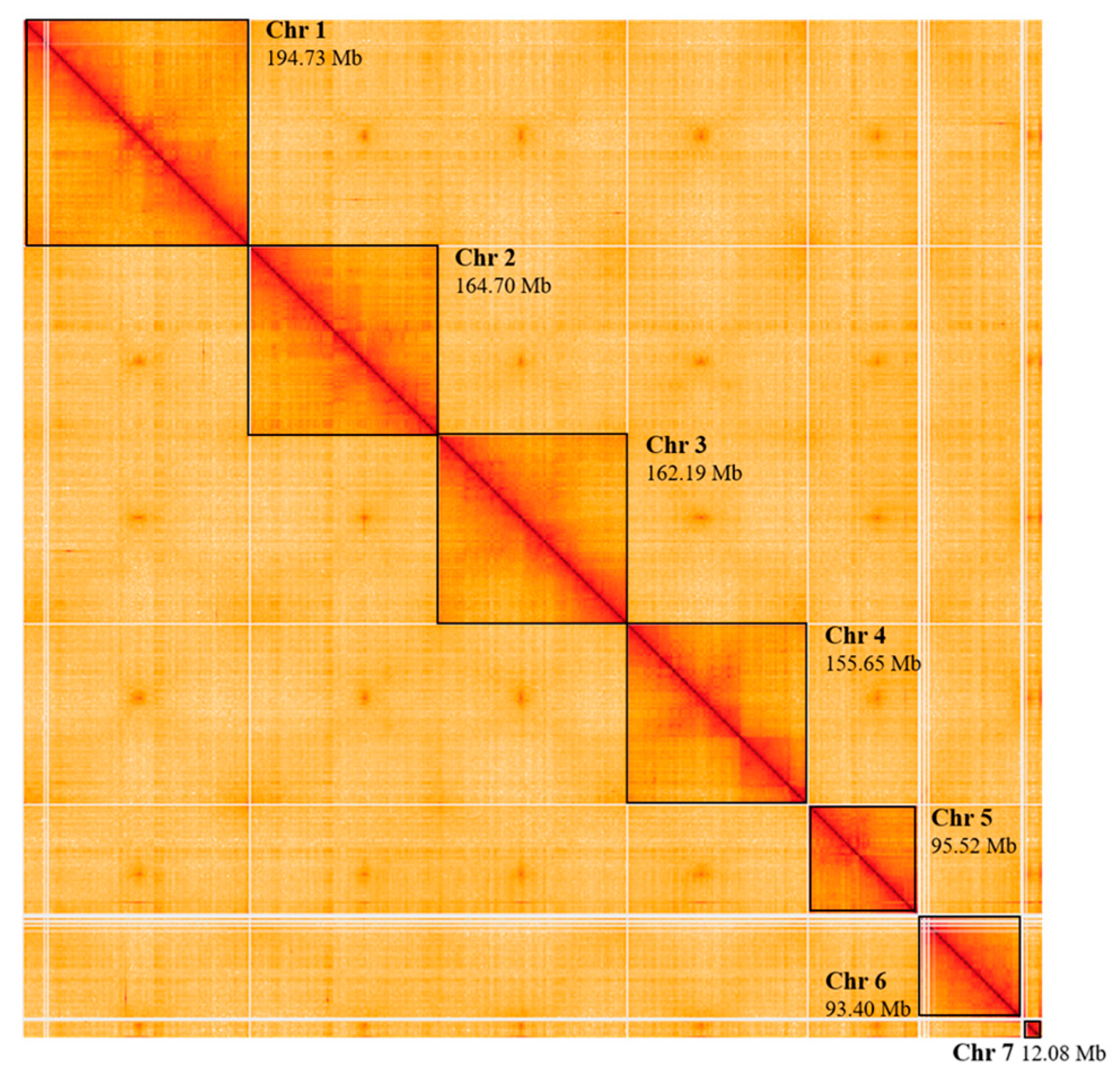Insects 15 00133 g004