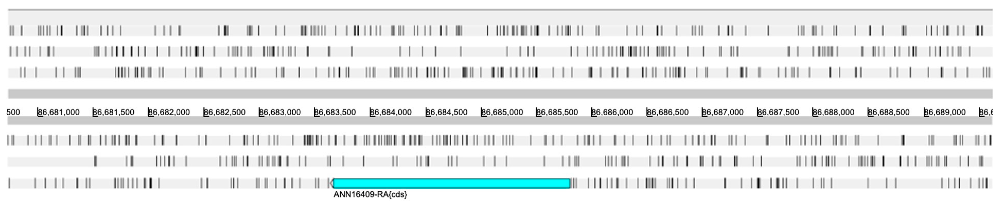 Insects 15 00133 g007