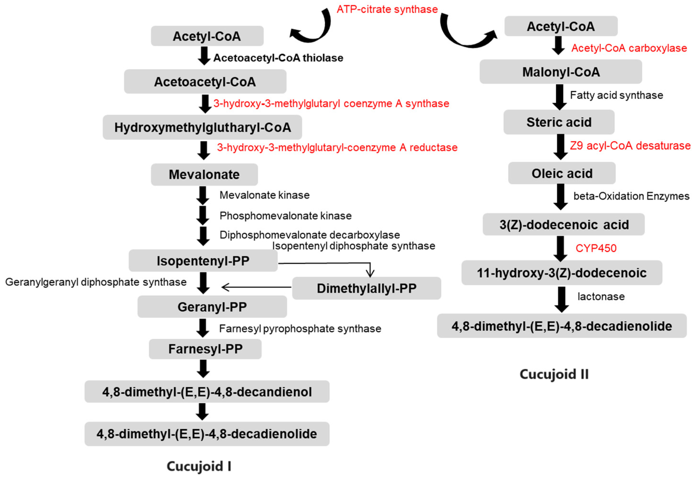 Insects 15 00137 g005
