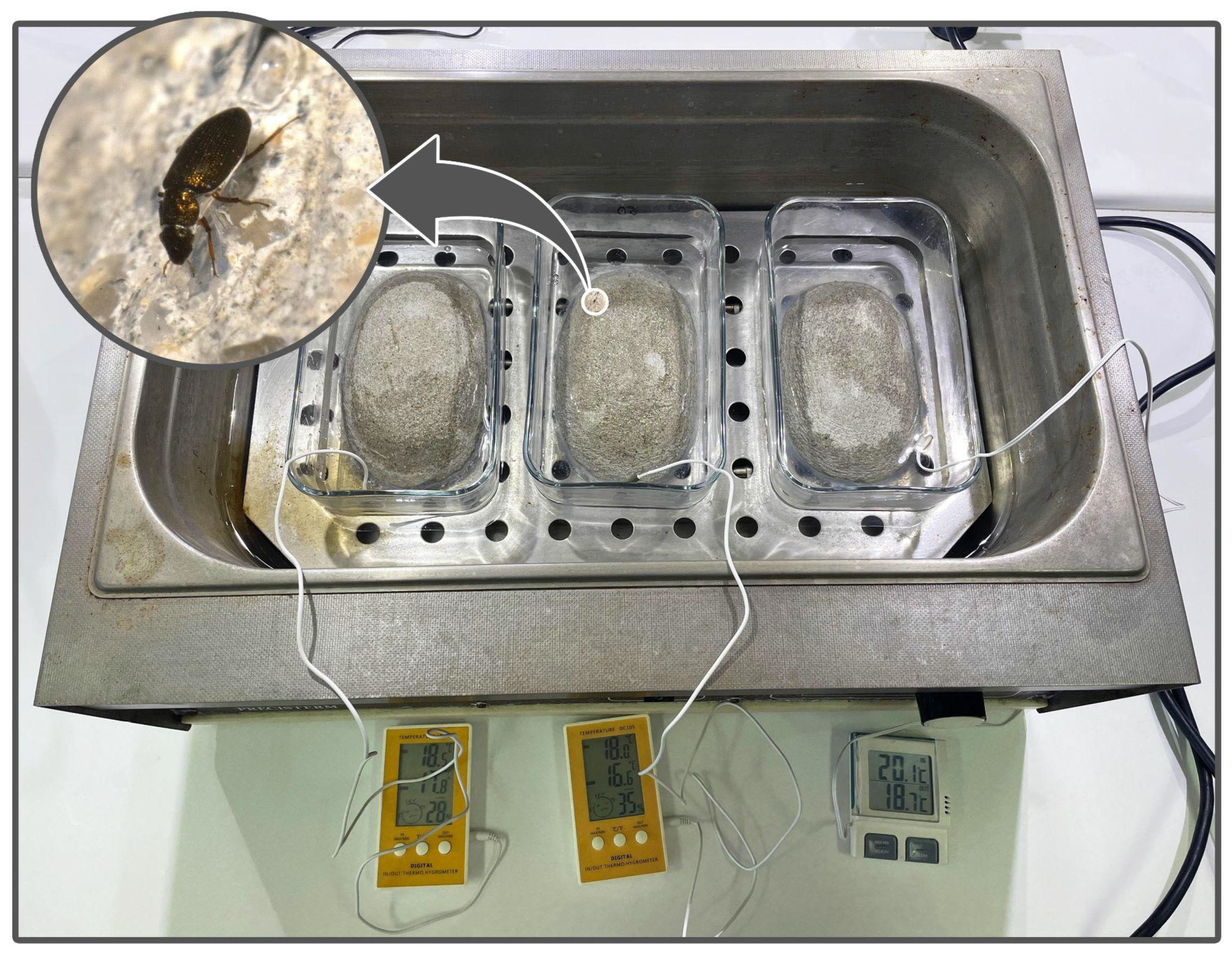 Insects 15 00140 g002