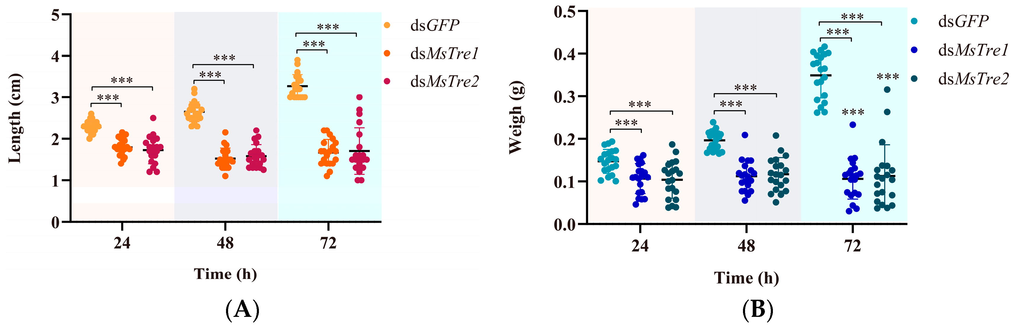Insects 15 00142 g004a