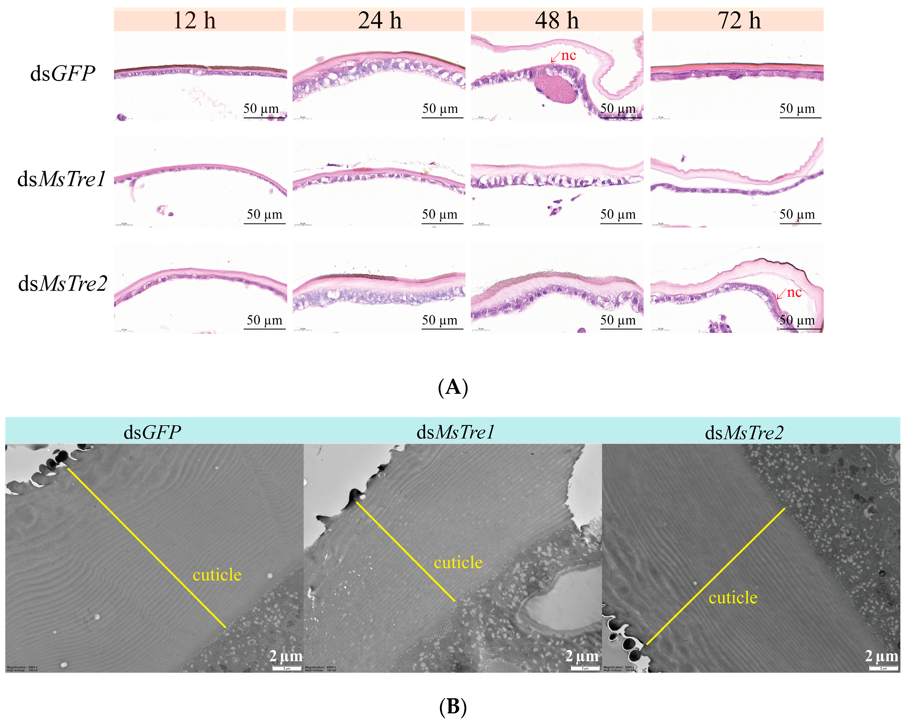 Insects 15 00142 g005