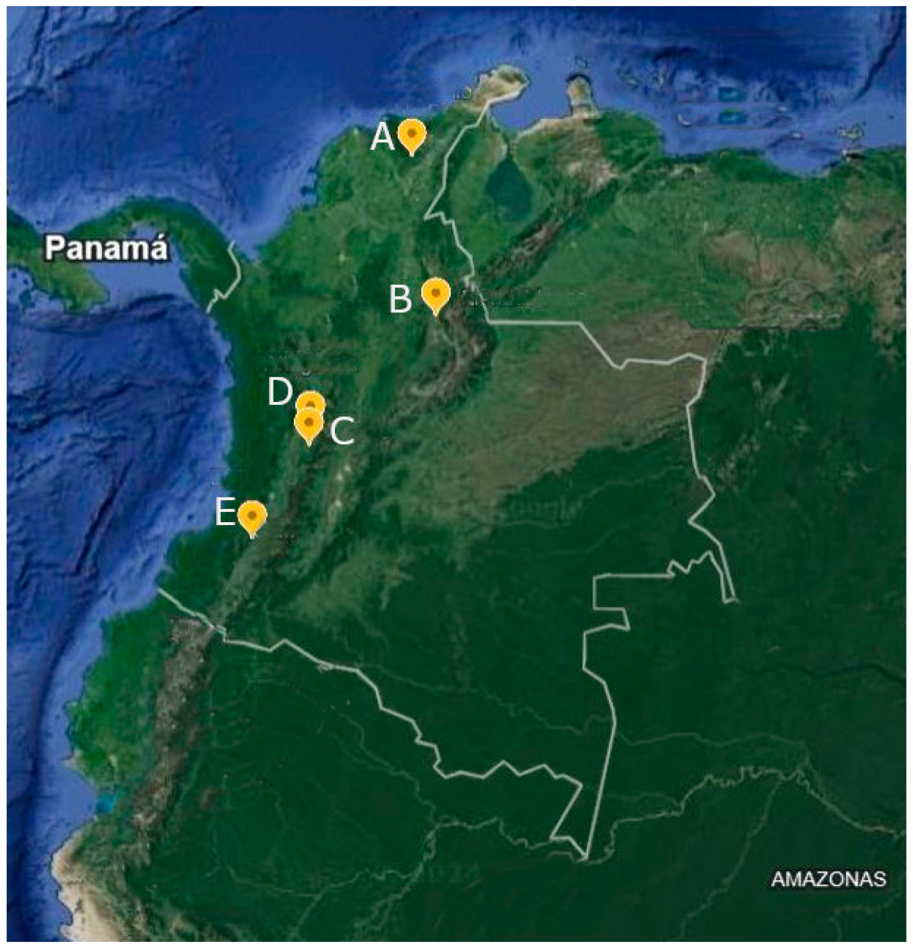 Insects 15 00143 g001