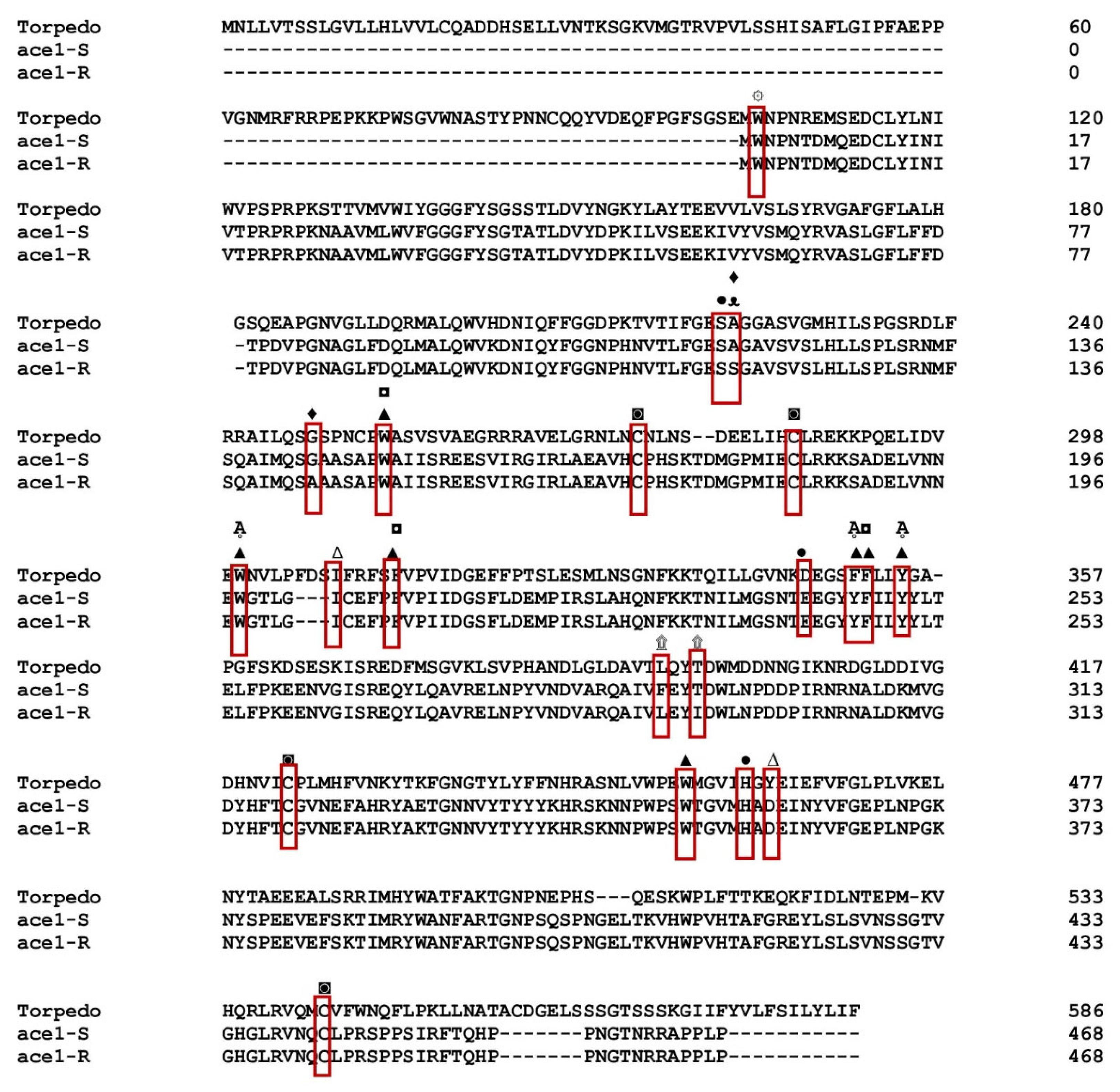 Insects 15 00144 g002