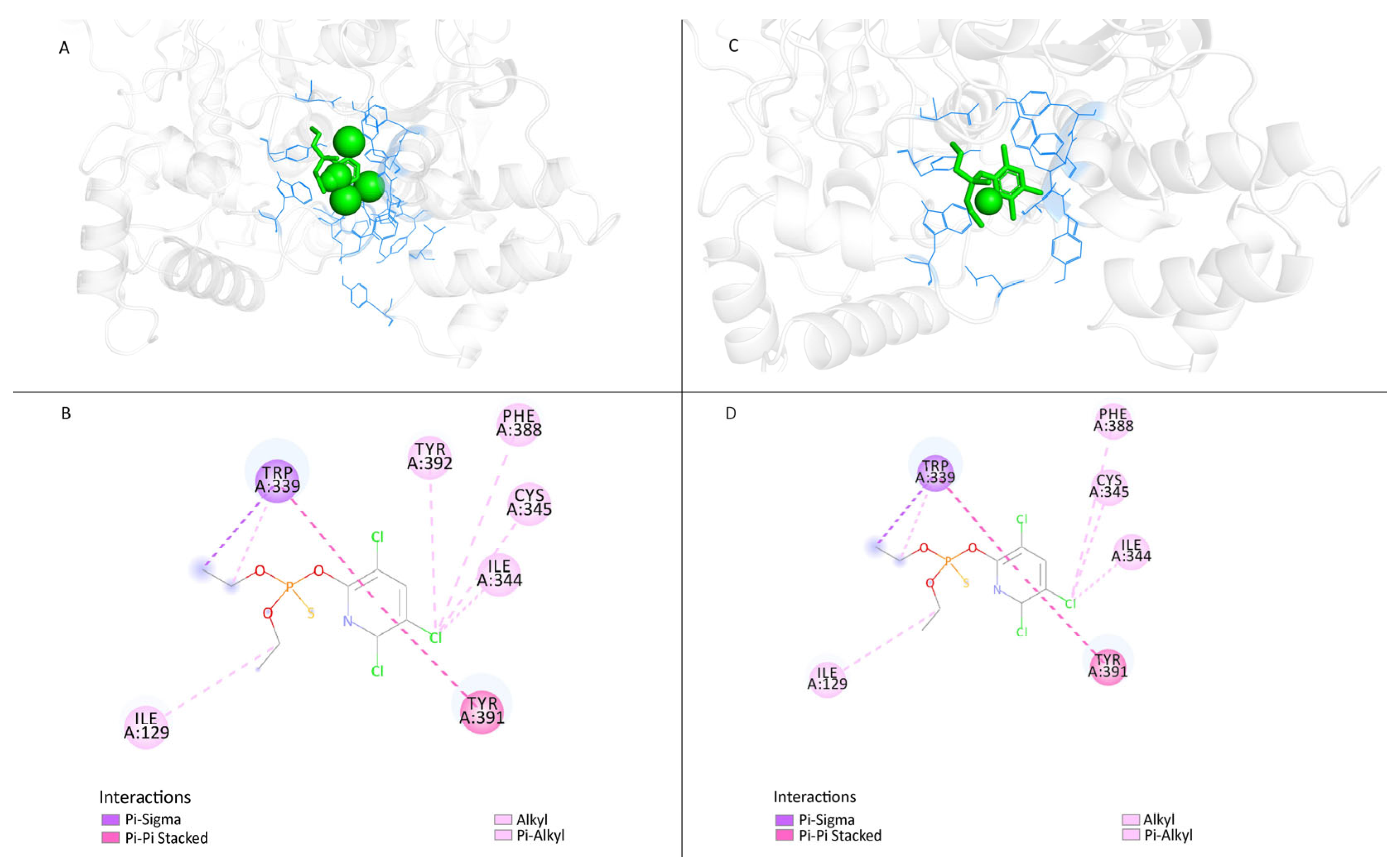 Insects 15 00144 g004
