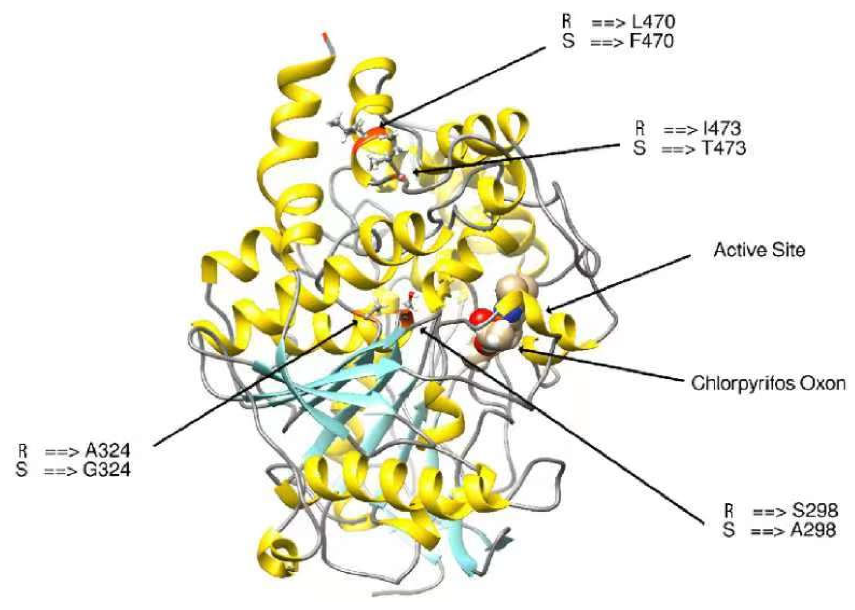 Insects 15 00144 g009