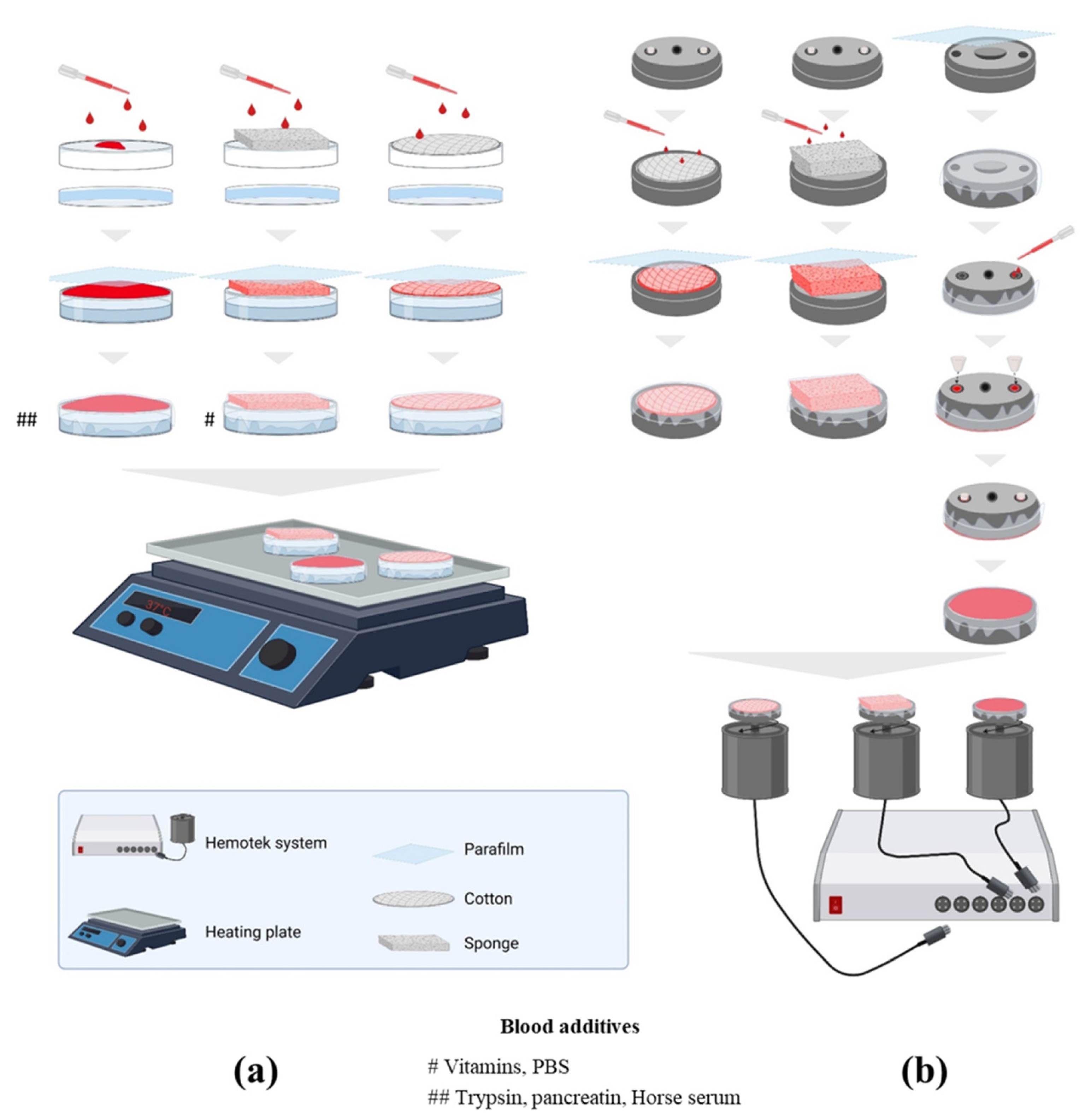 Insects 15 00145 g001 Insects 15 00145 g001