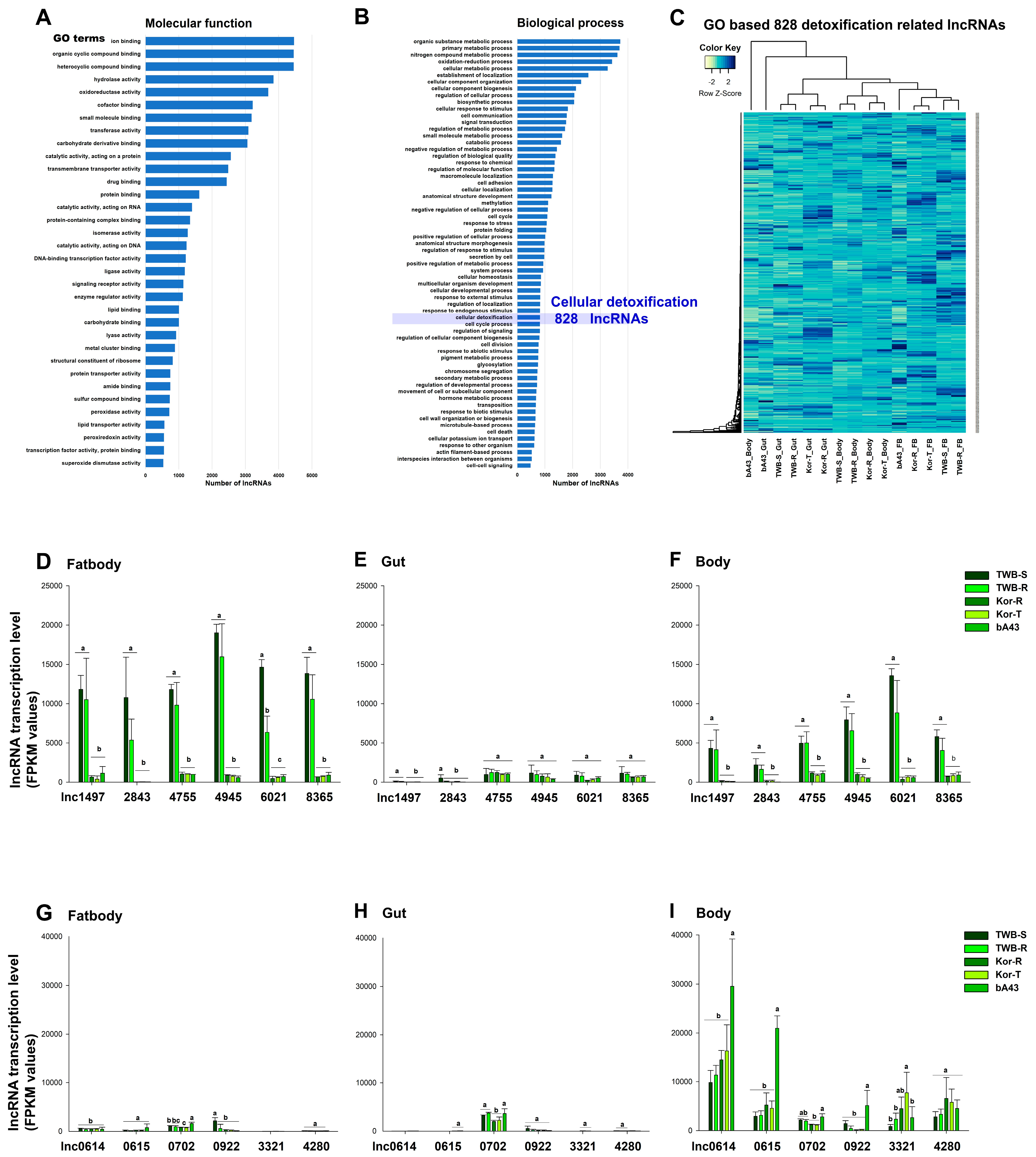 Insects 15 00146 g005 Insects 15 00146 g005