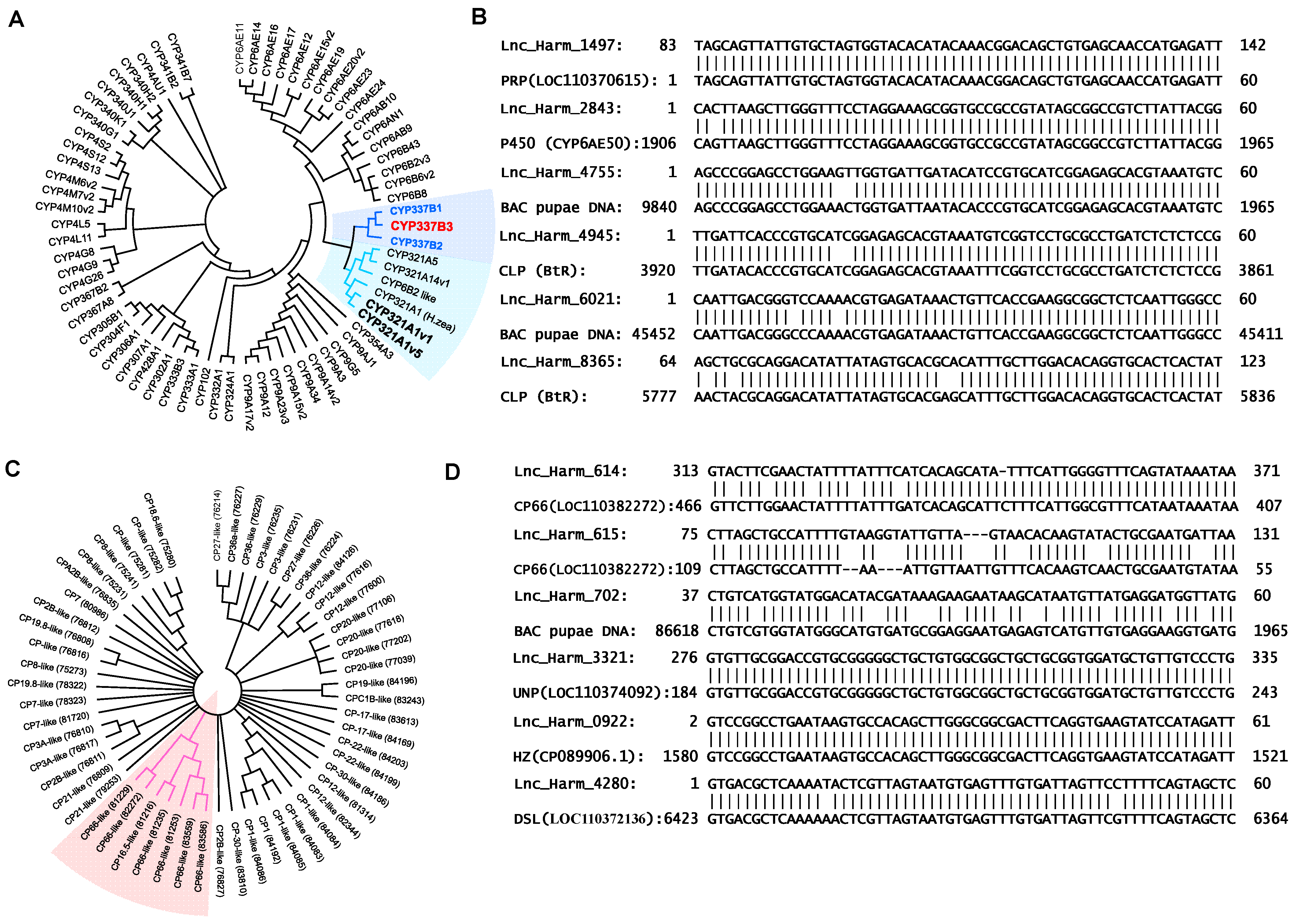 Insects 15 00146 g006 Insects 15 00146 g006