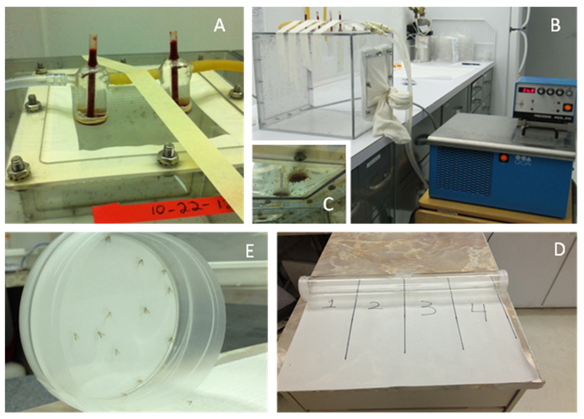 Insects 15 00155 g001 Insects 15 00155 g001