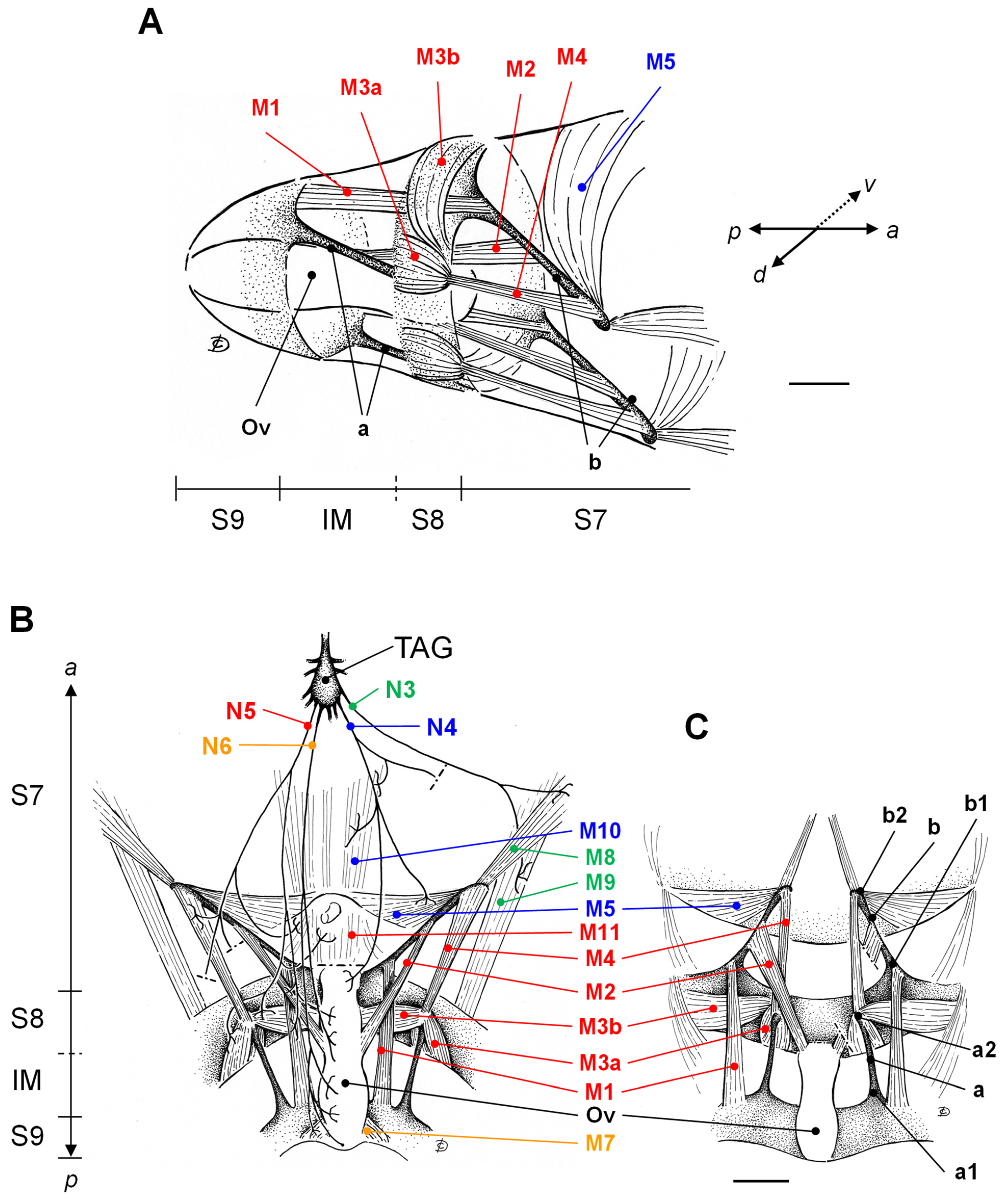 Insects 15 00169 g002 Insects 15 00169 g002