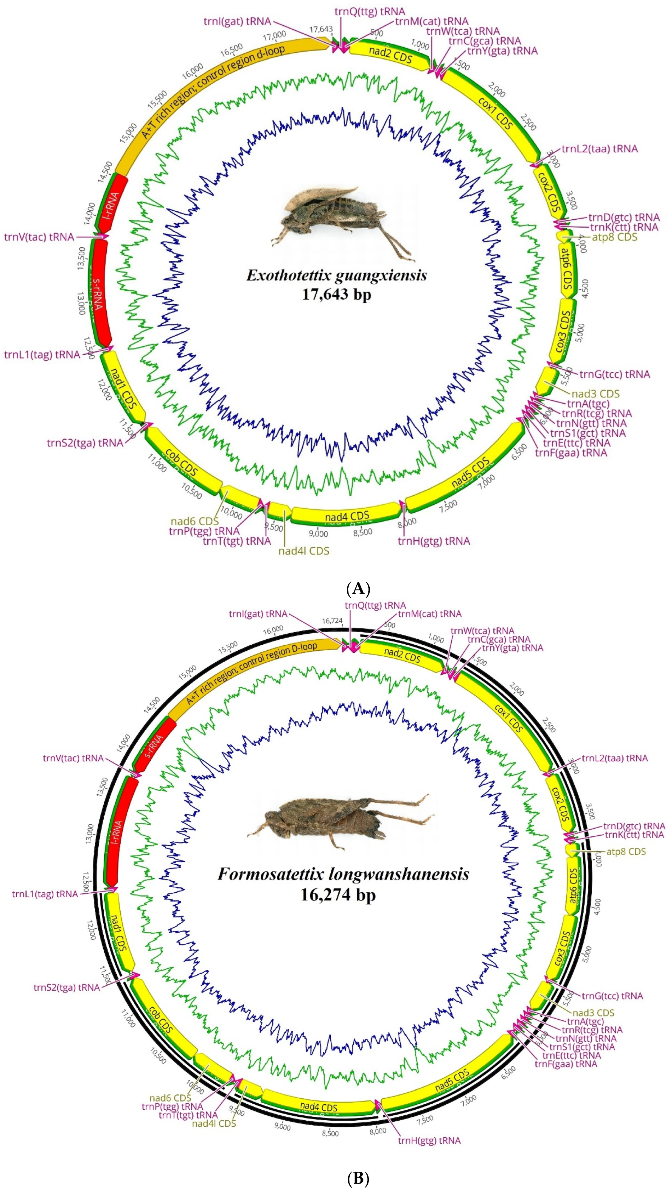 Insects 15 00174 g001a