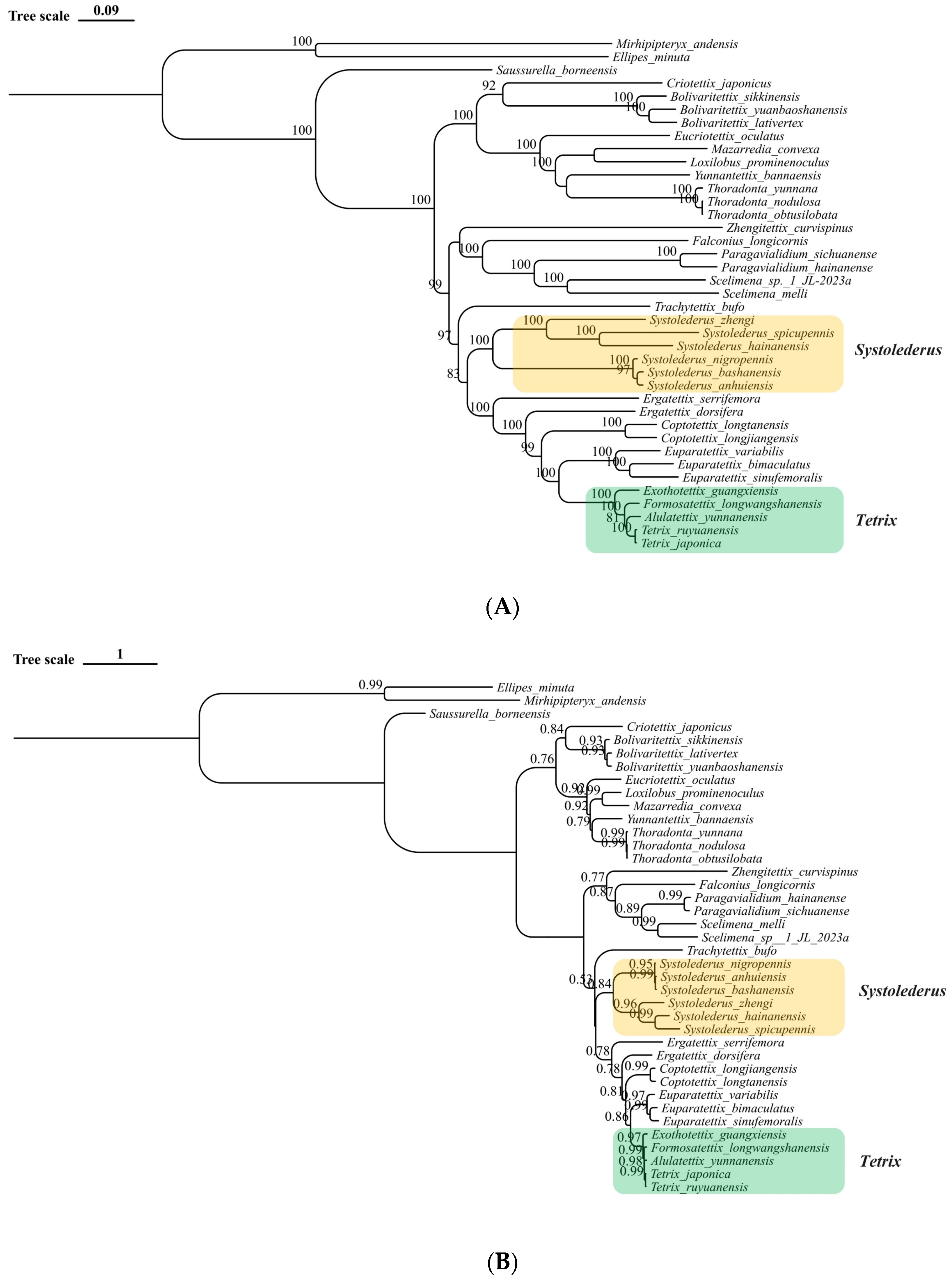 Insects 15 00174 g006