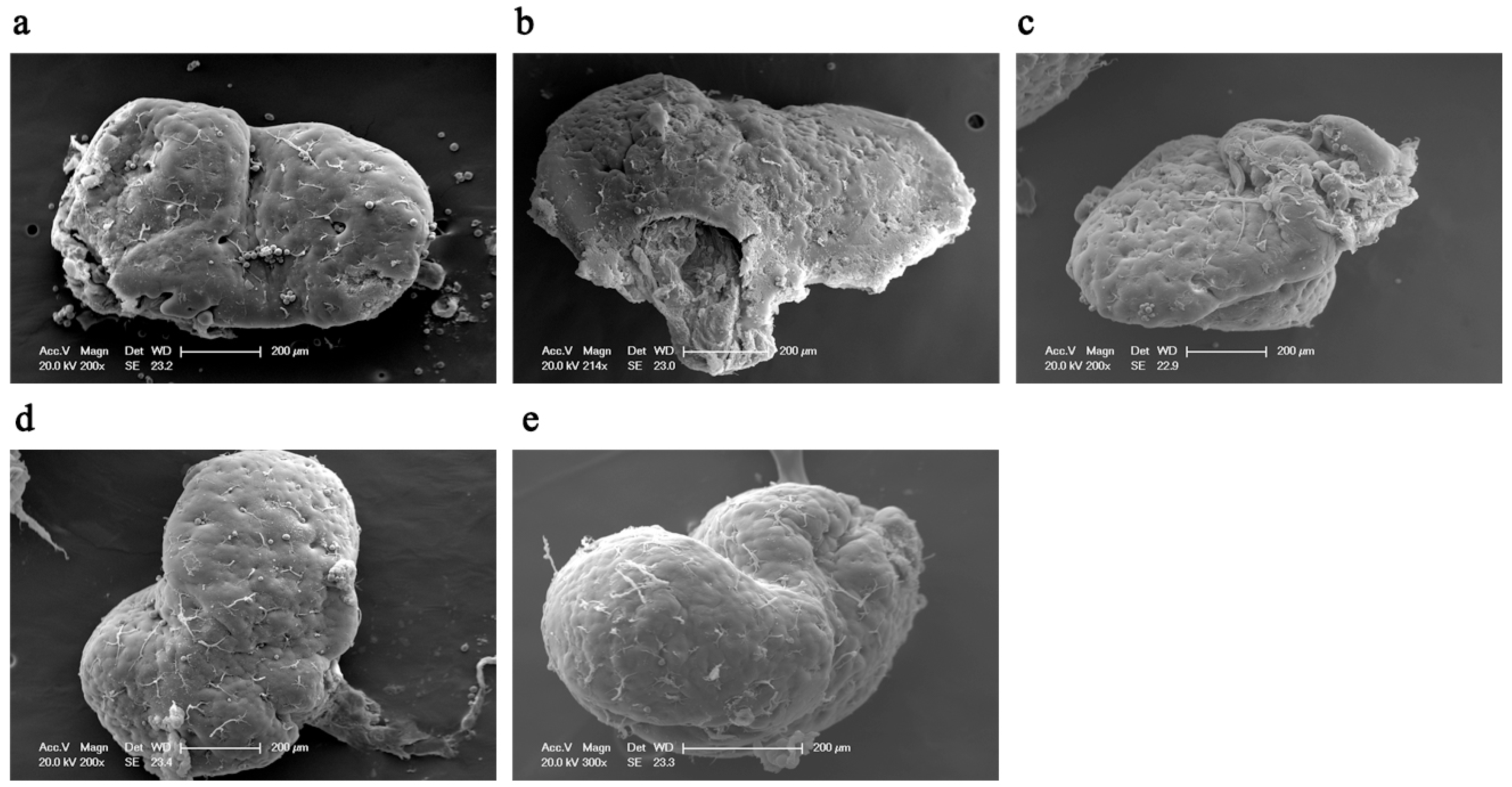 Insects 15 00176 g001 Insects 15 00176 g001