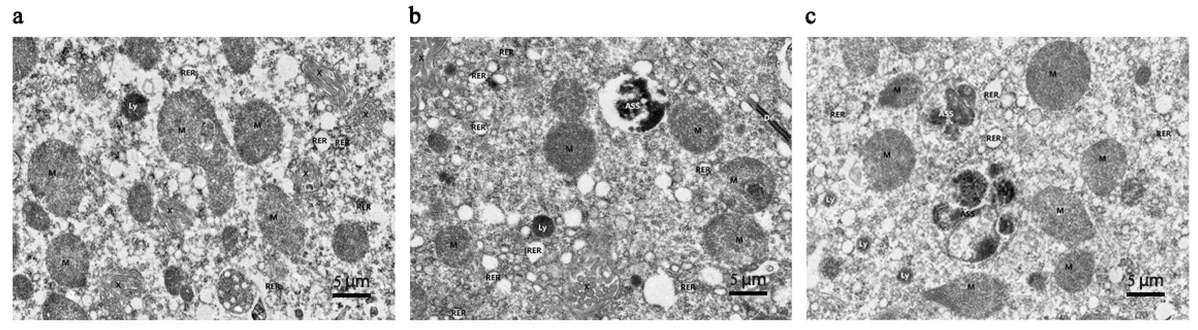 Insects 15 00176 g002a Insects 15 00176 g002a