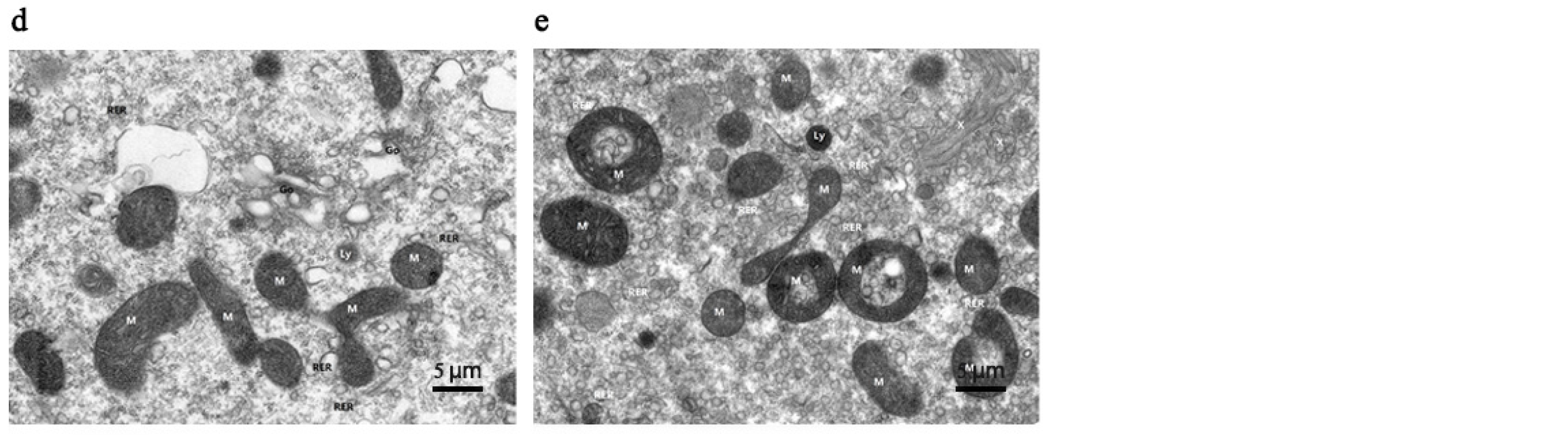 Insects 15 00176 g002b Insects 15 00176 g002b