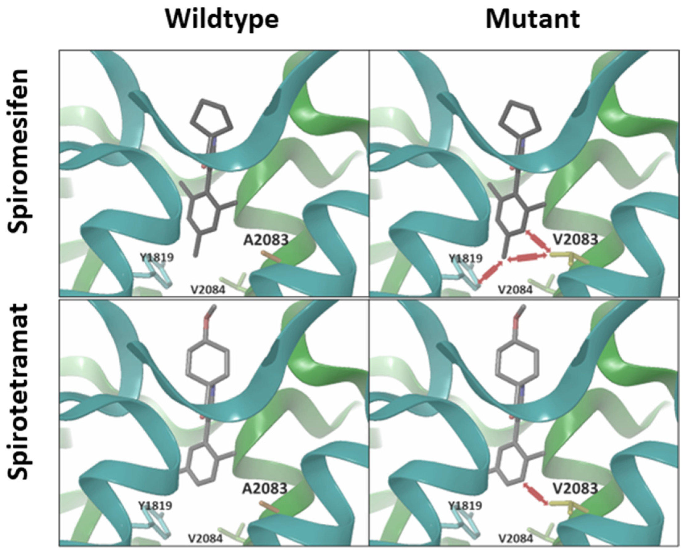 Insects 15 00178 g005