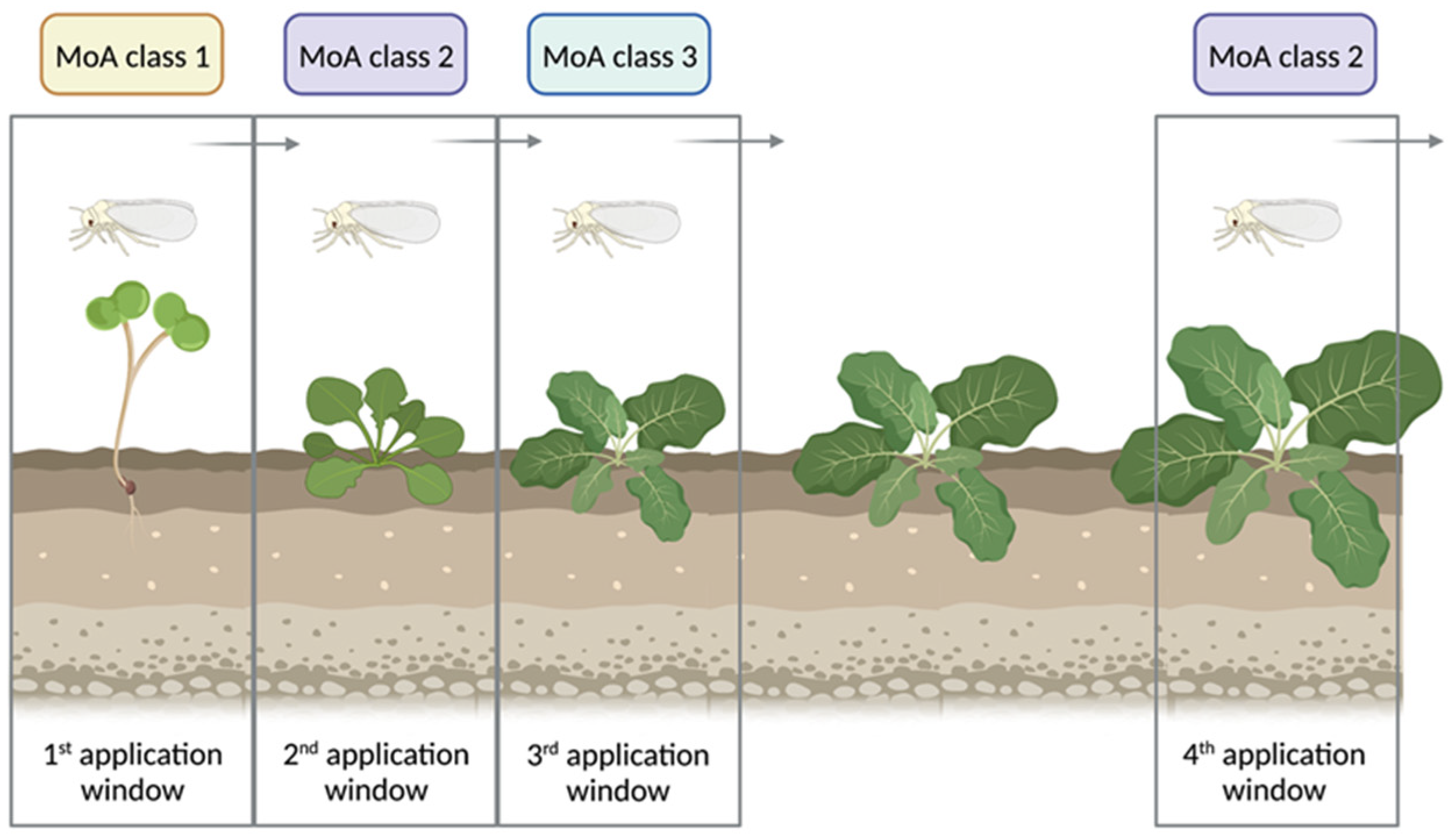 Insects 15 00178 g006