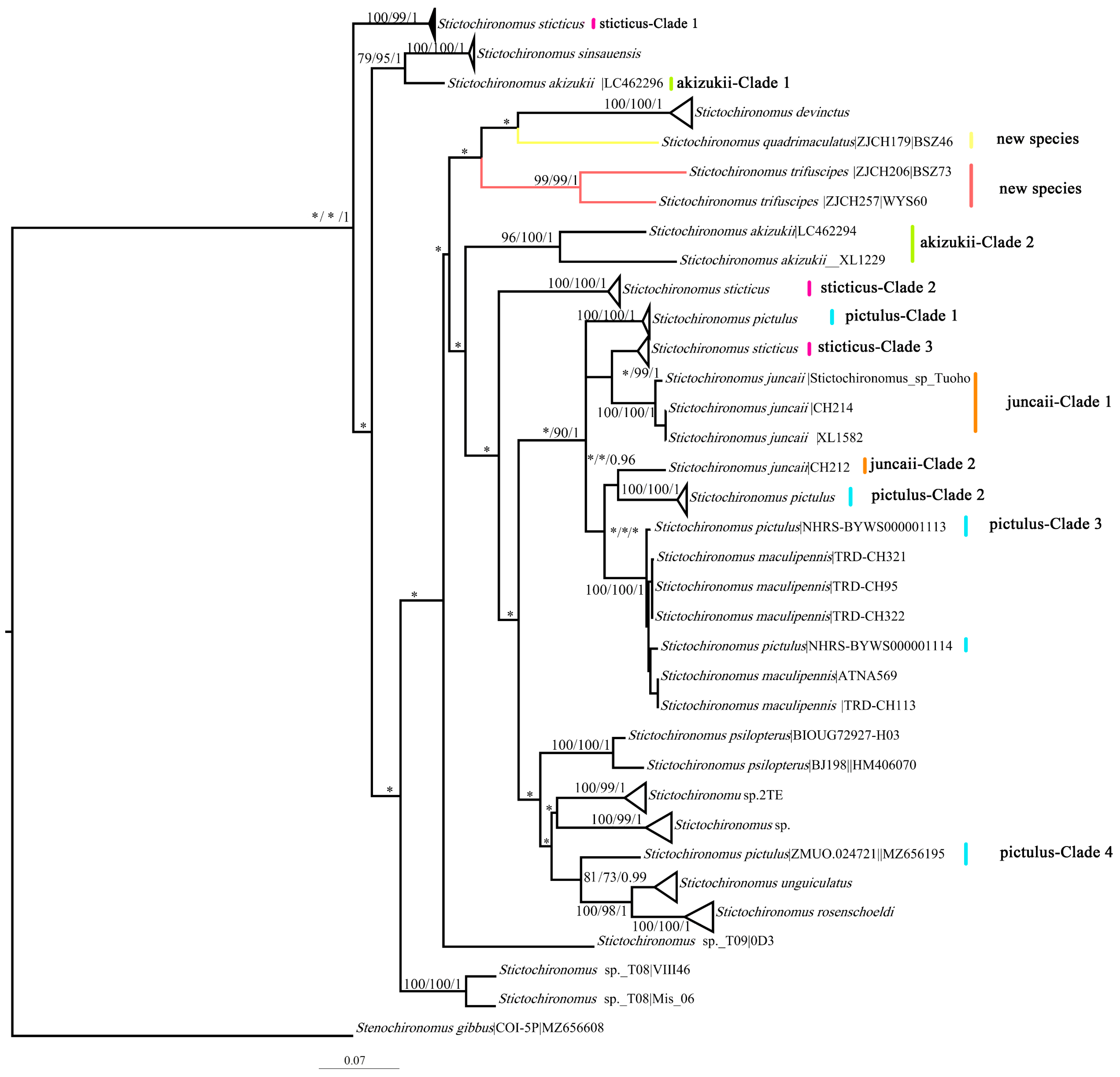 Insects 15 00179 g001