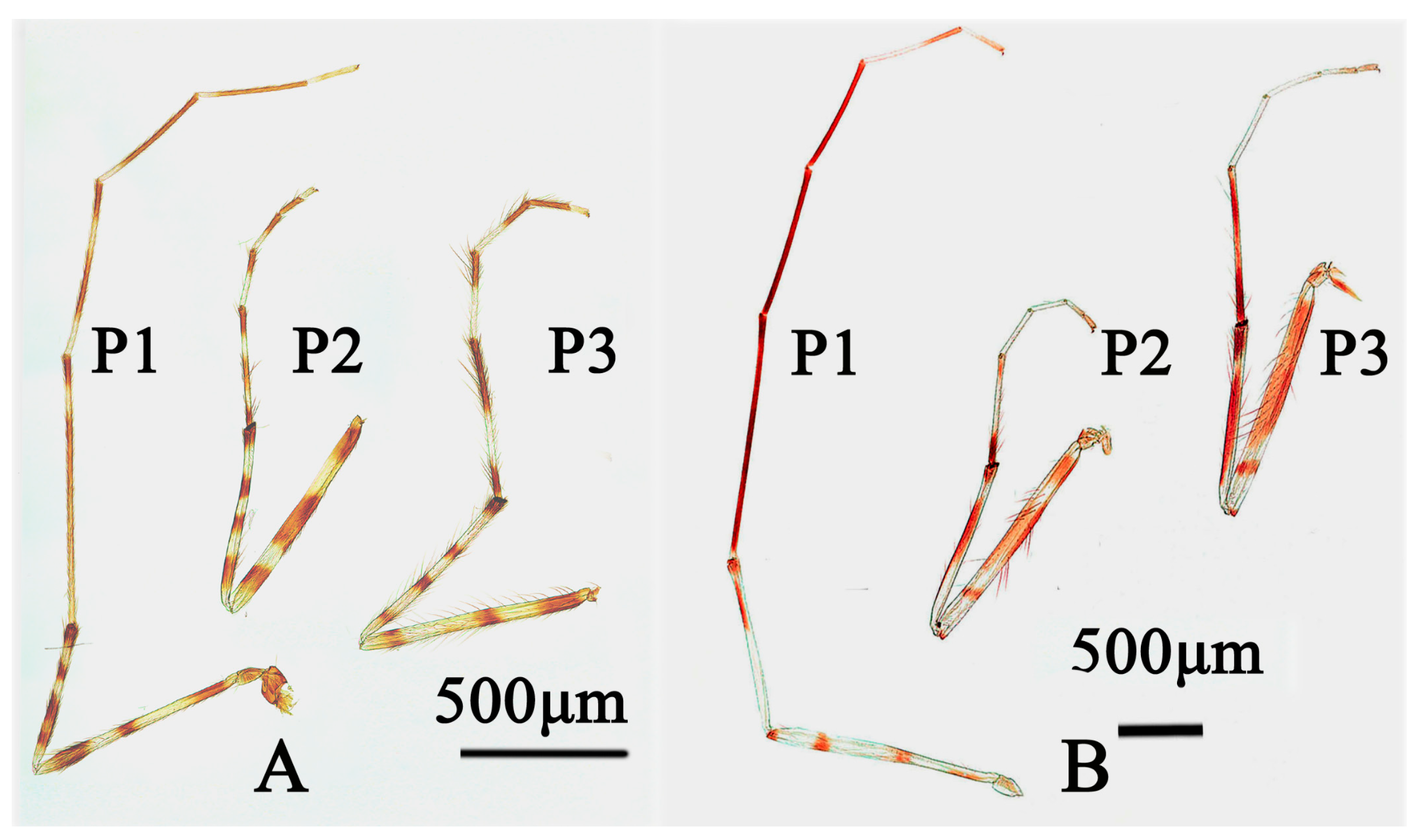 Insects 15 00179 g005