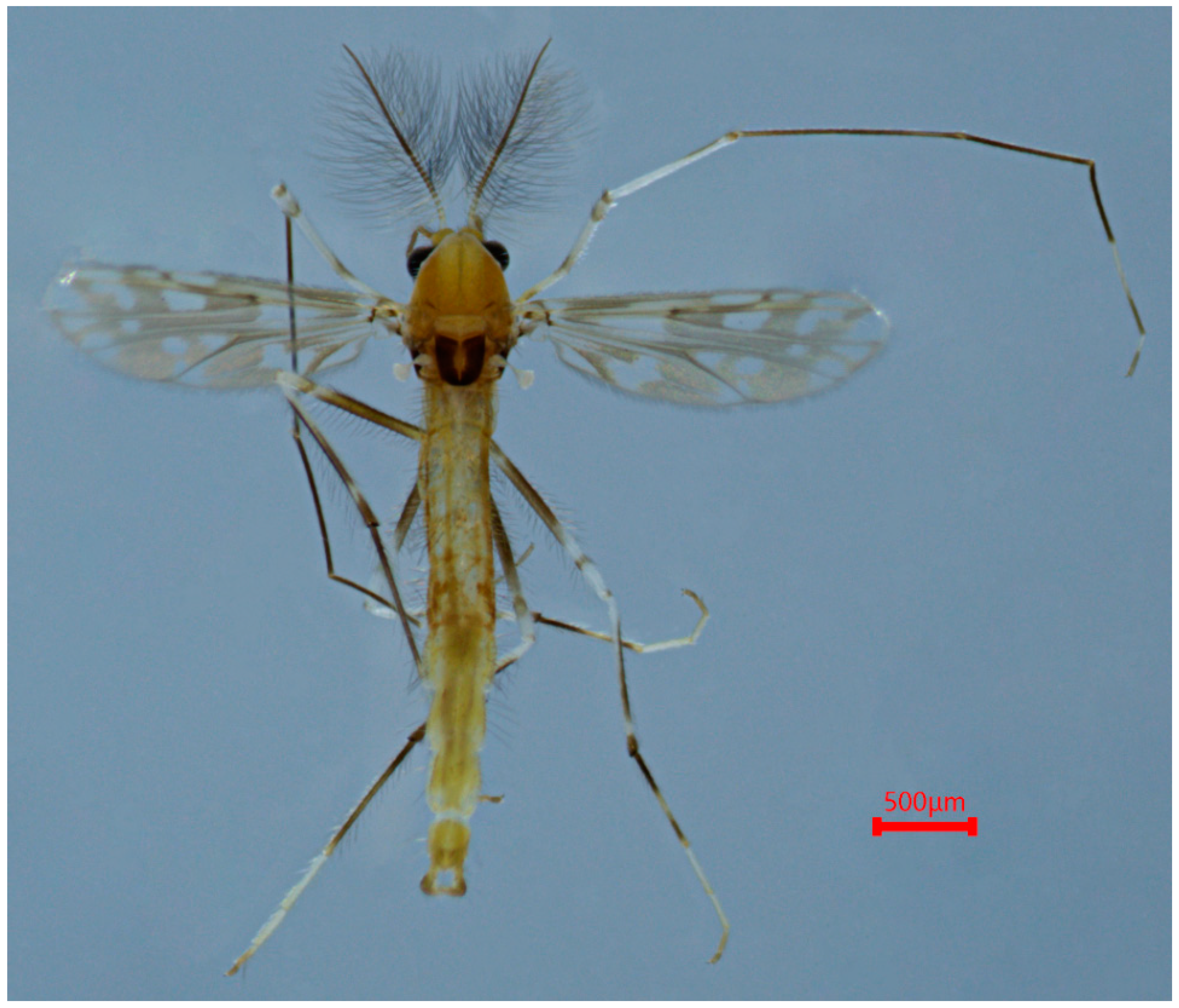 Insects 15 00179 g006