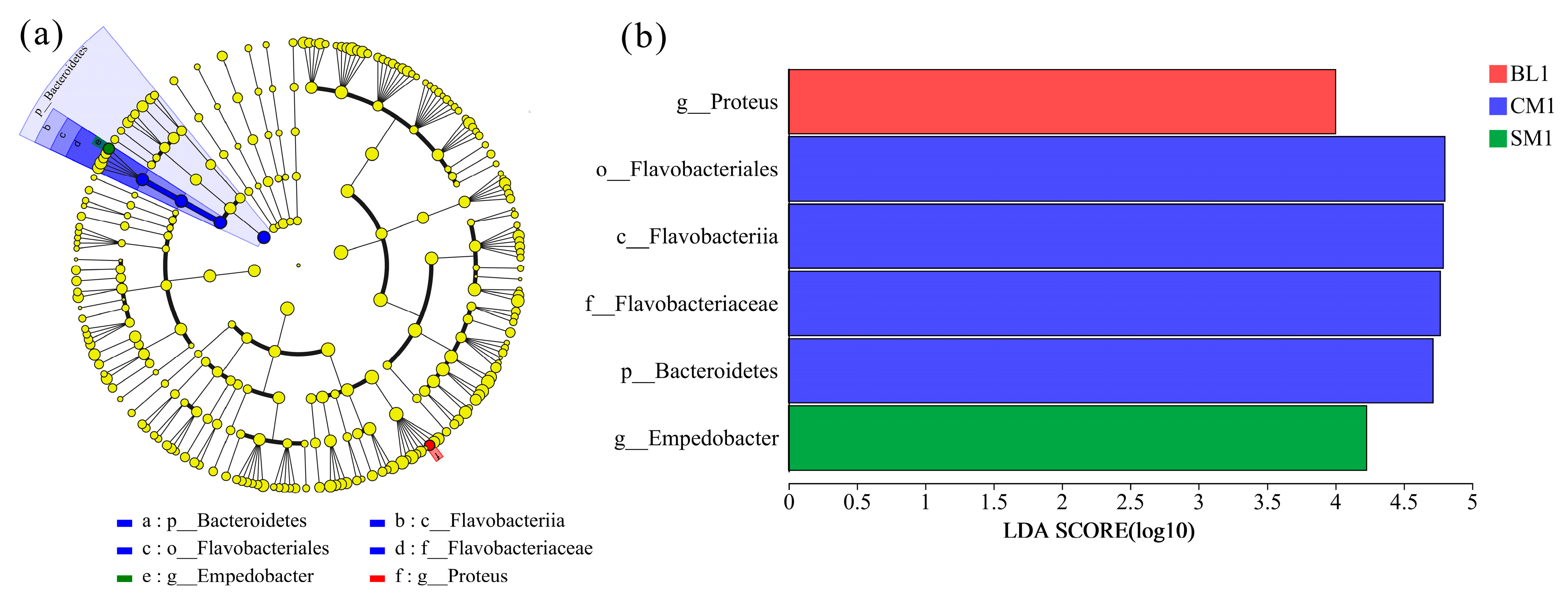 Insects 15 00181 g004