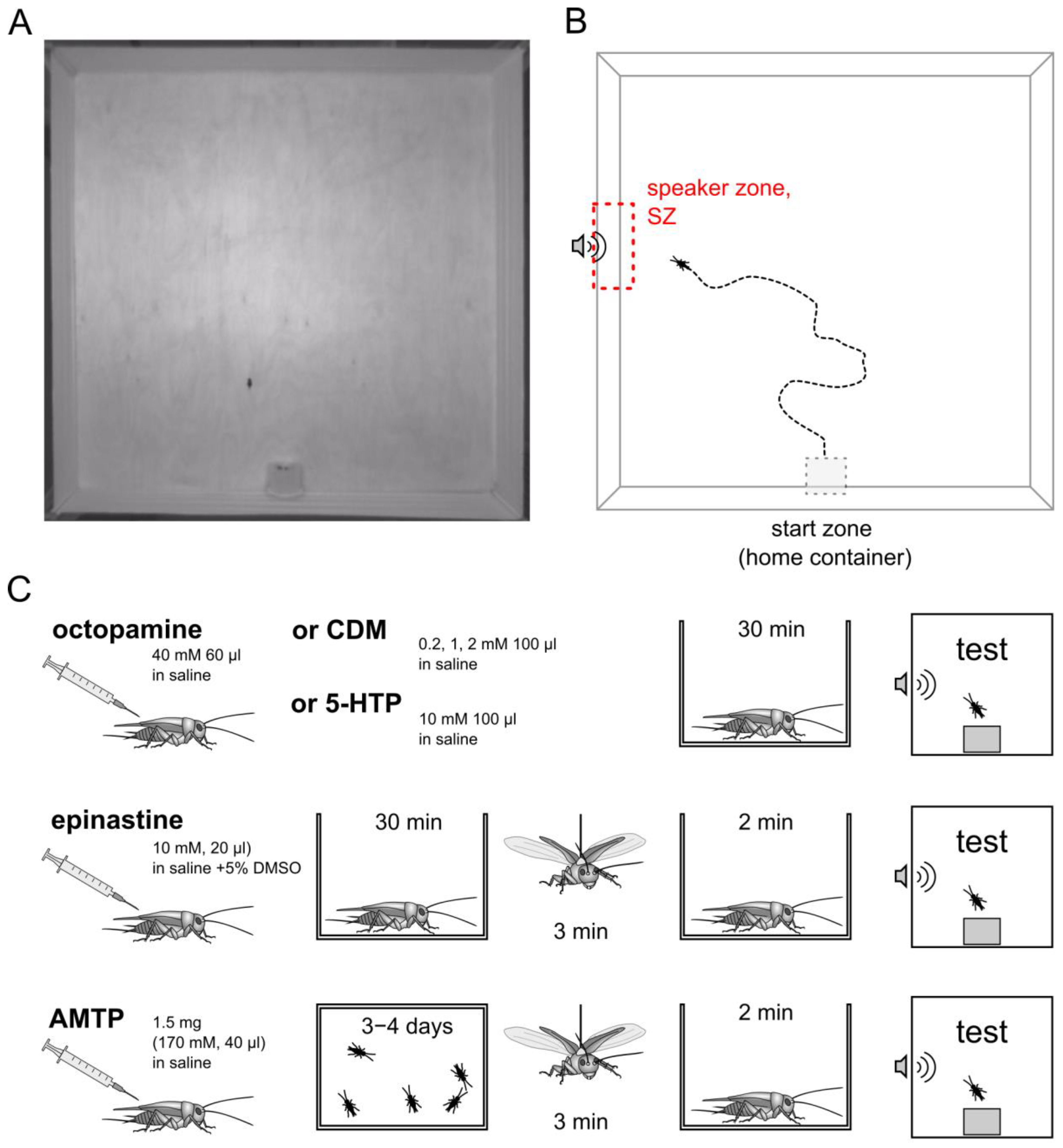 Insects 15 00183 g001