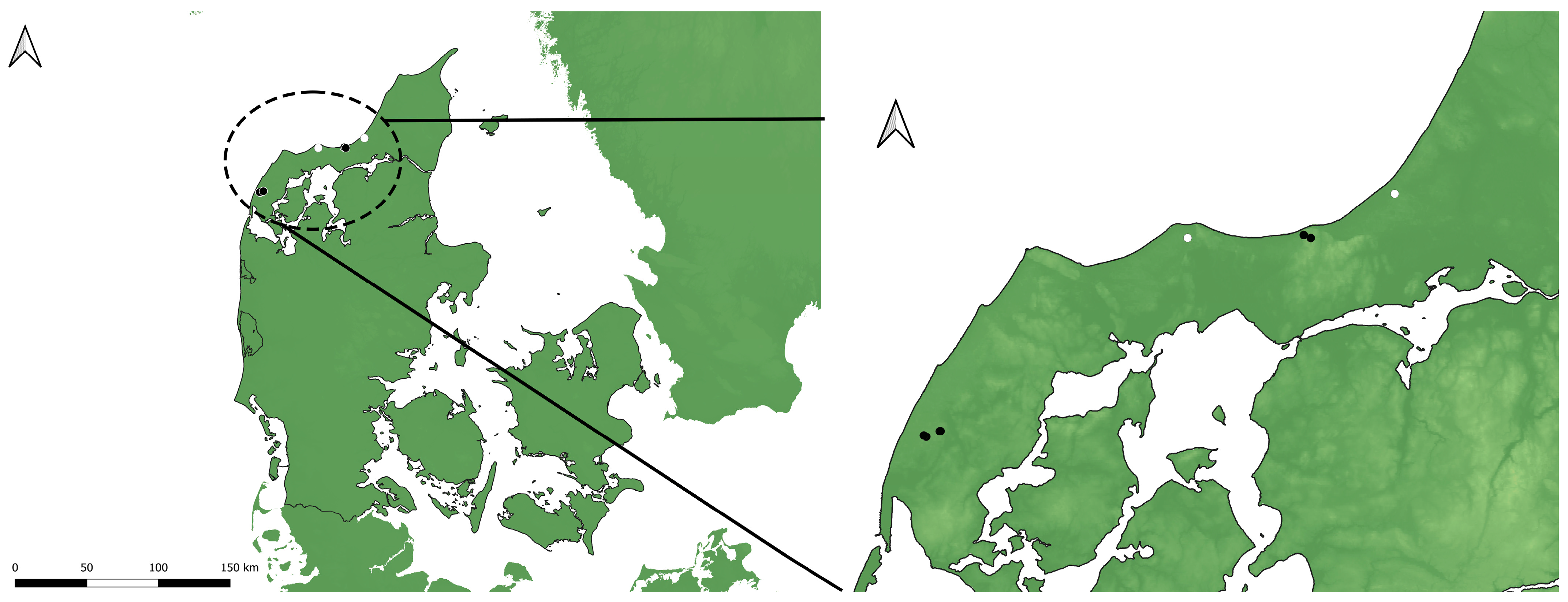 Insects 15 00191 g001