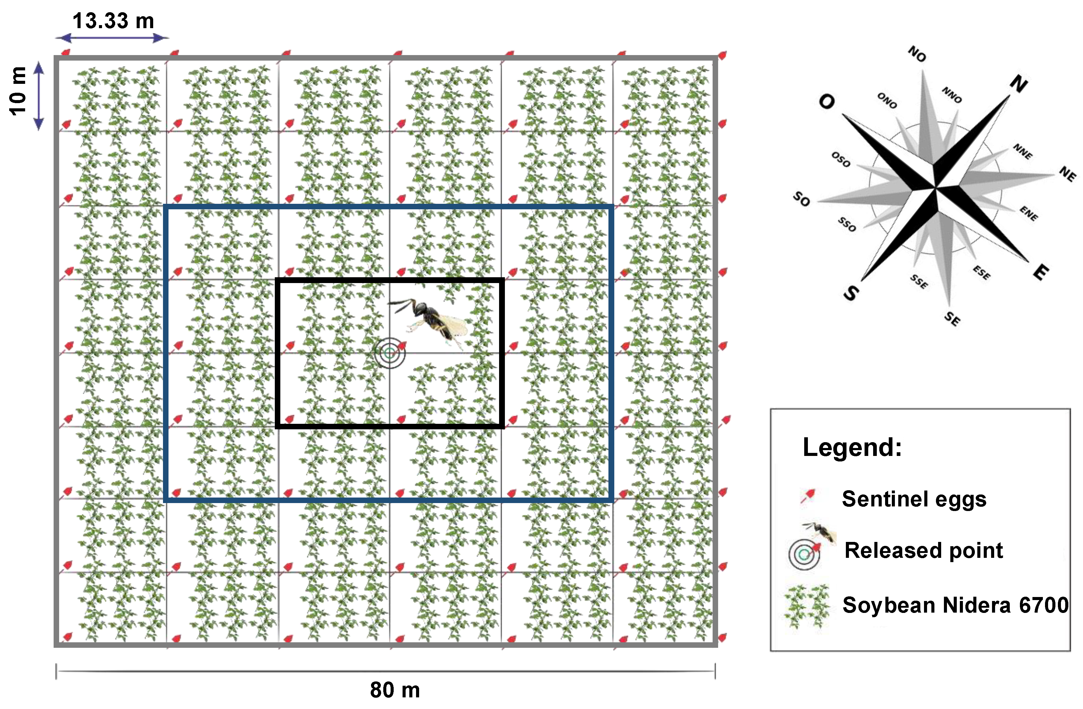Insects 15 00192 g001