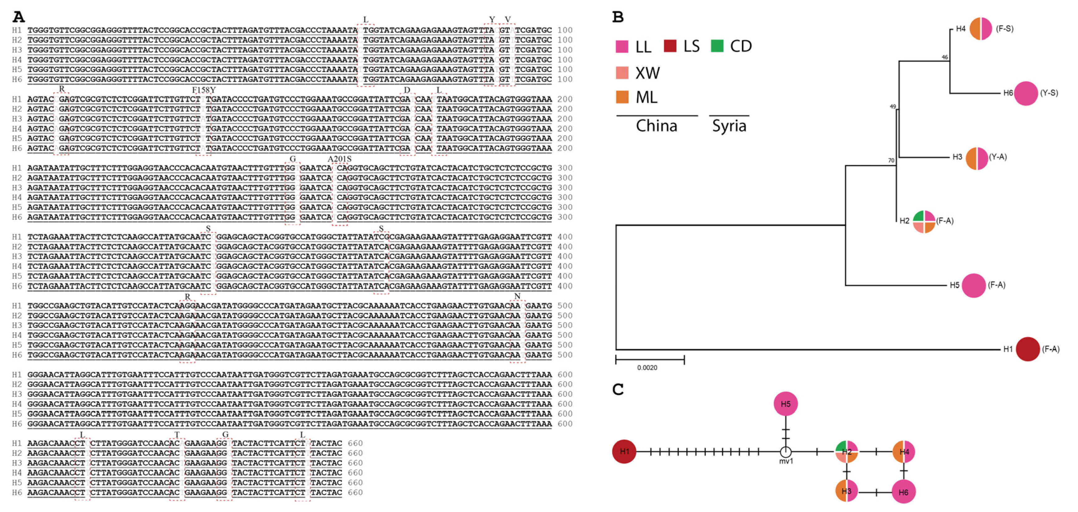 Insects 15 00194 g001