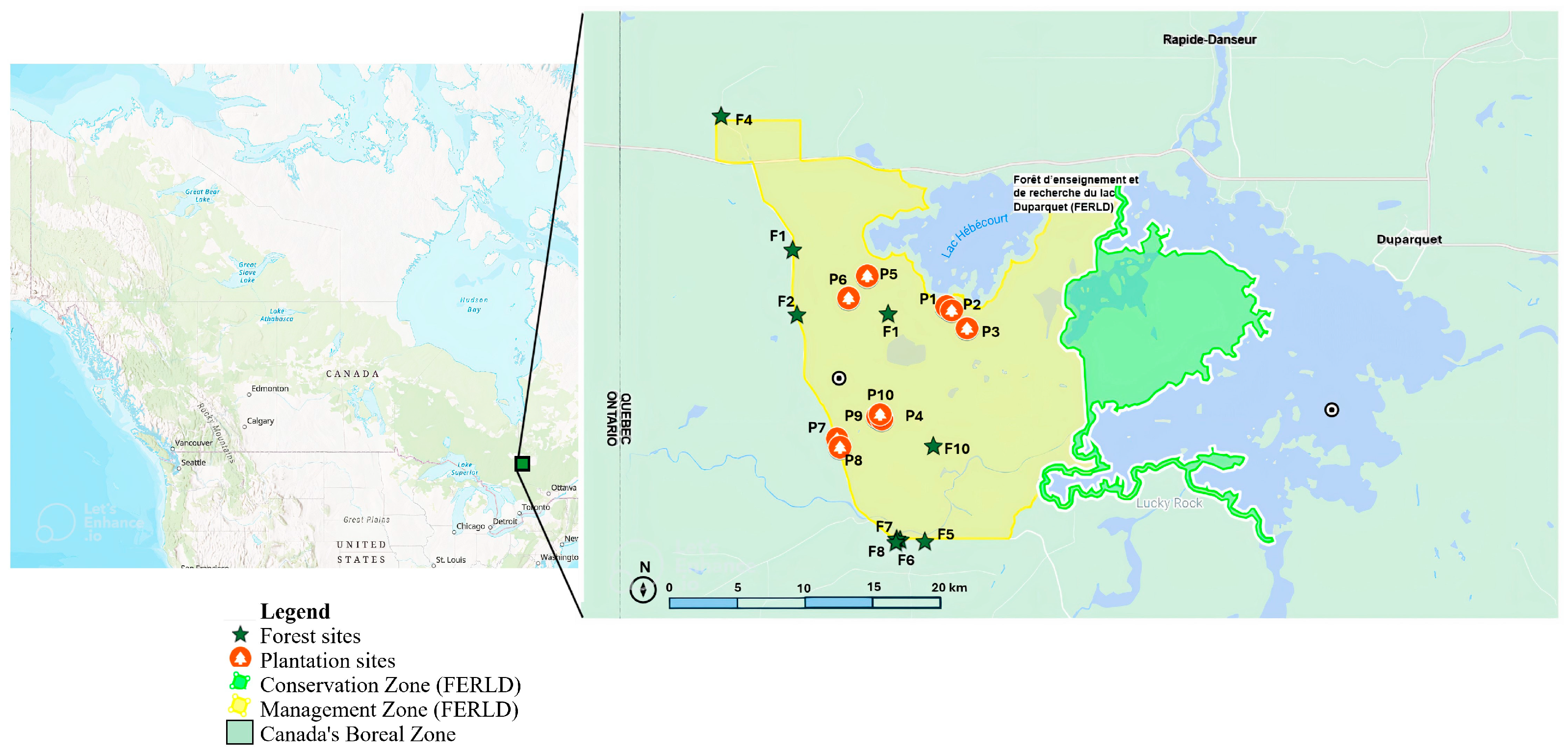 Insects 15 00196 g001