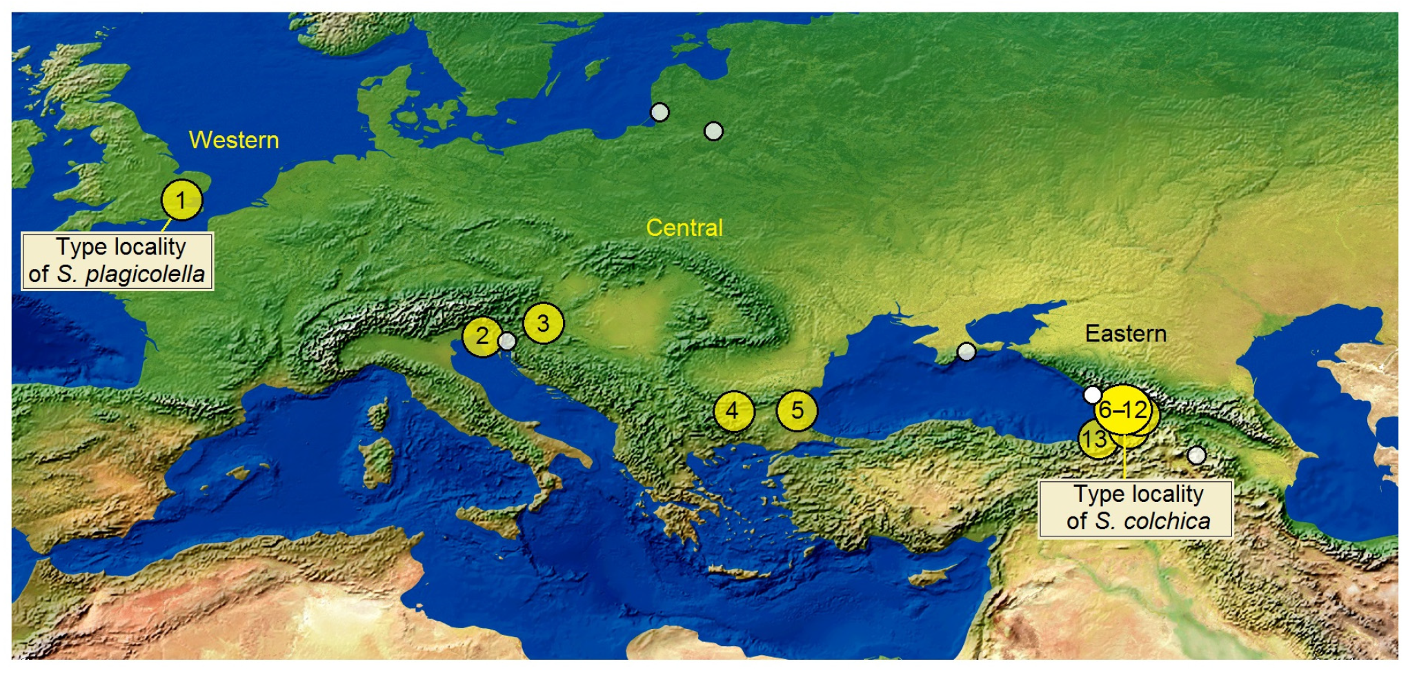 Insects 15 00198 g015 Insects 15 00198 g015