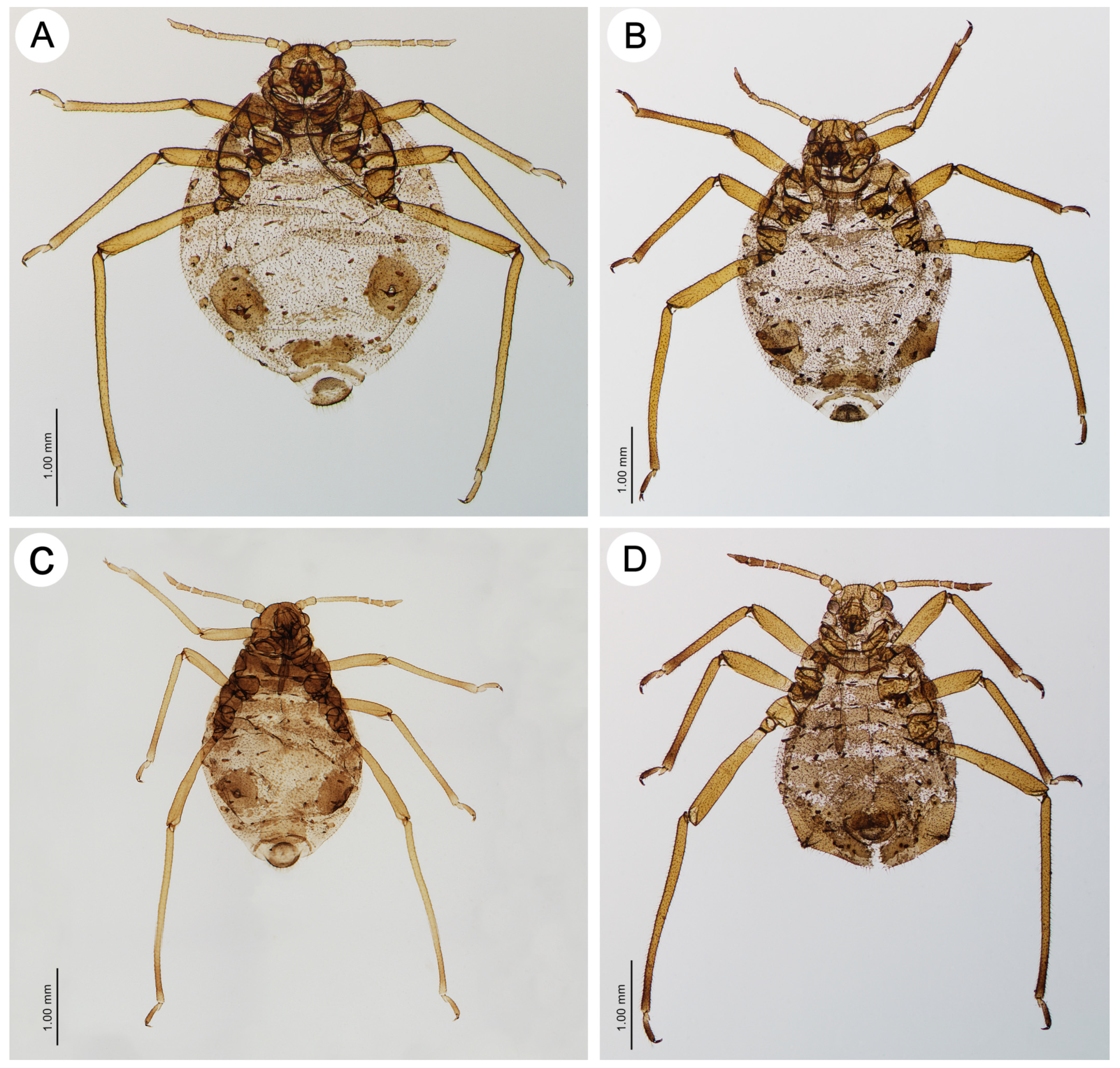 Insects 15 00203 g003